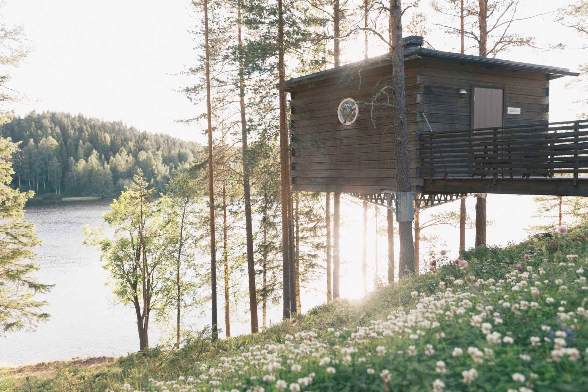 Een boomhut bij een rivier in de lente. Op de voorgrond staan bosanemonen.