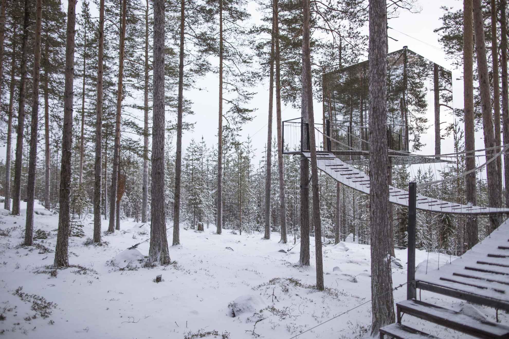 Treehotel in Swedish Lapland