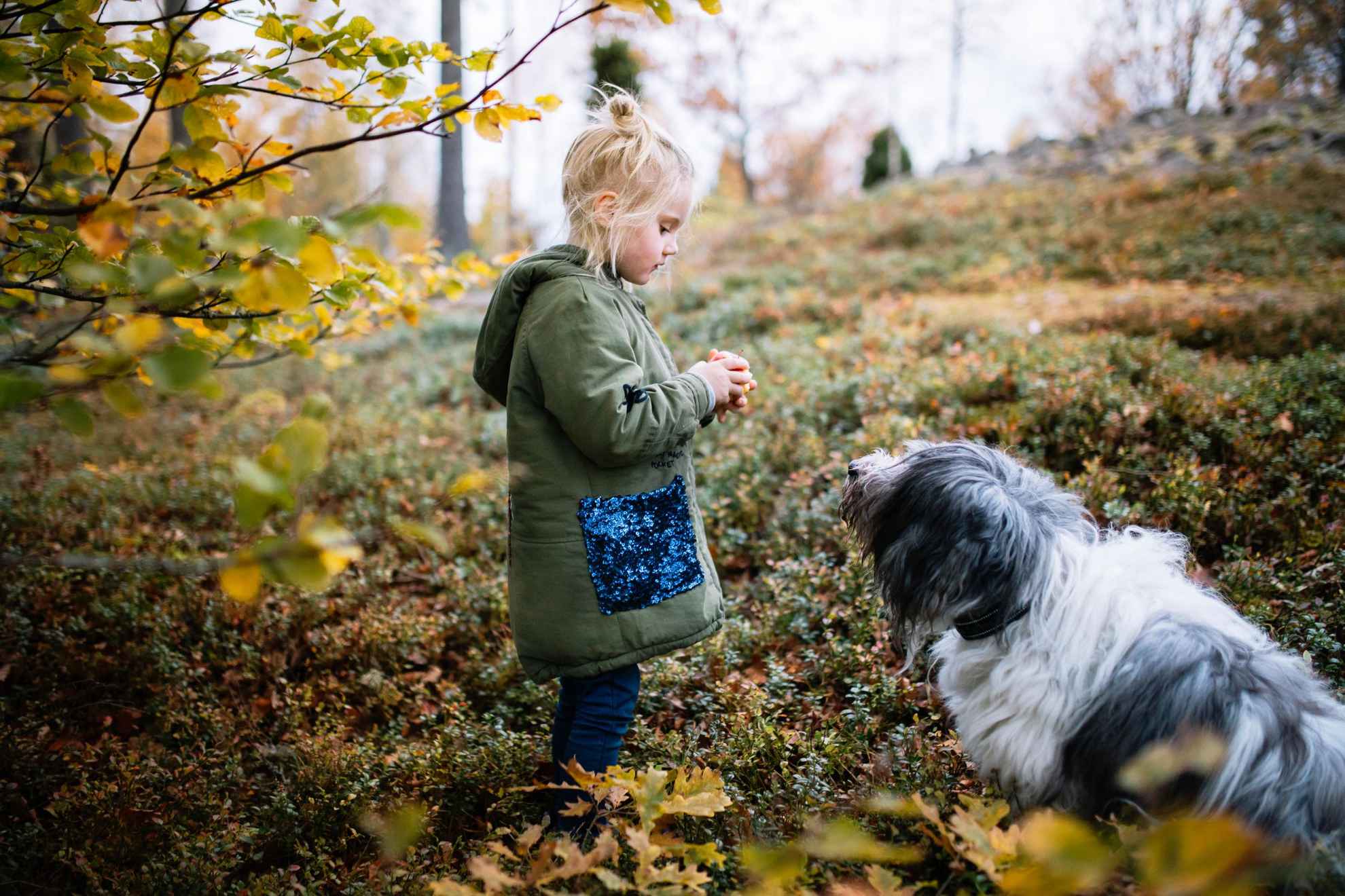 Een meisje met haar hond in de natuur.