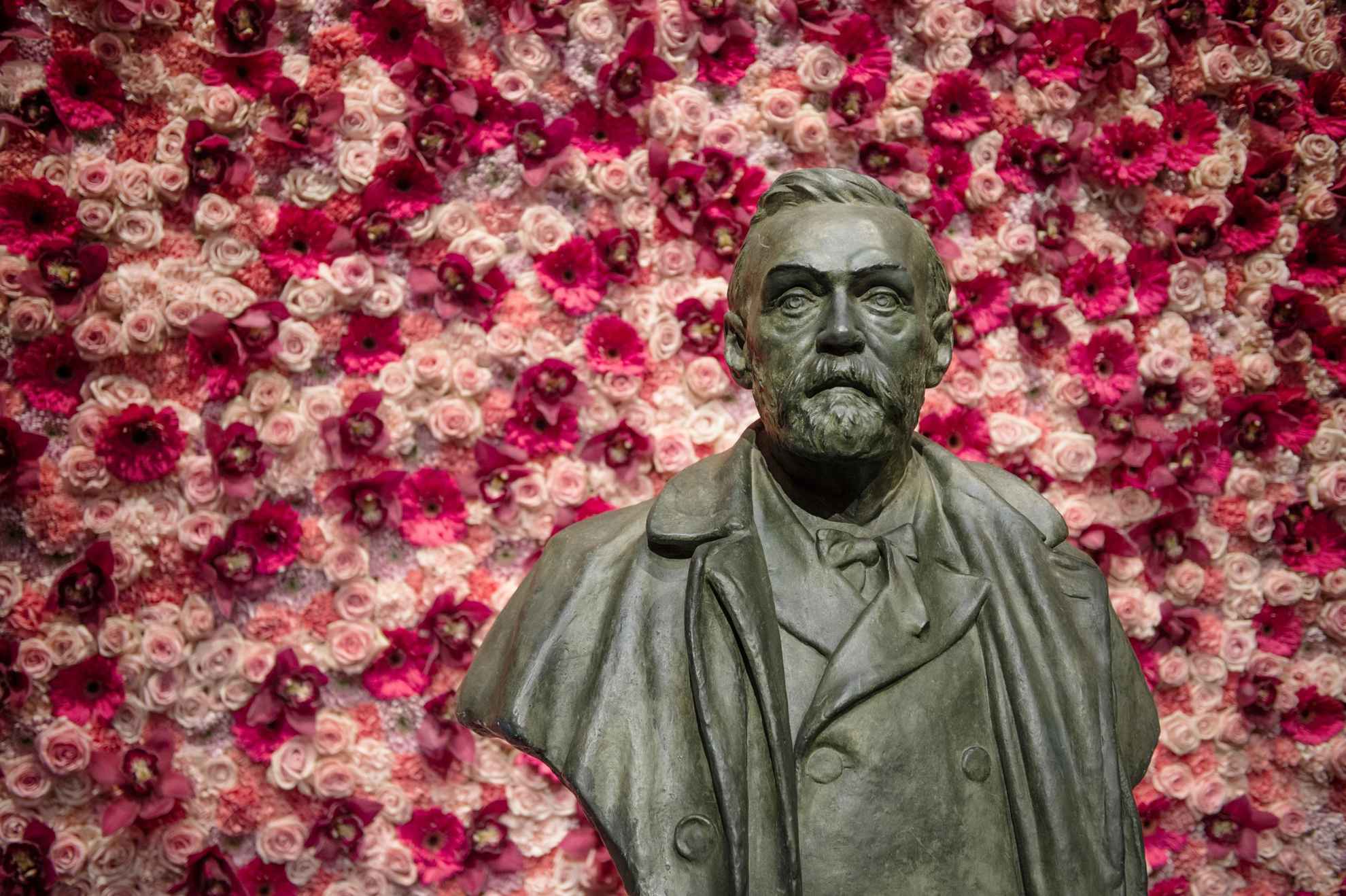 Een standbeeld van Alfred Nobel voor een muur versierd met roze en witte bloemen.