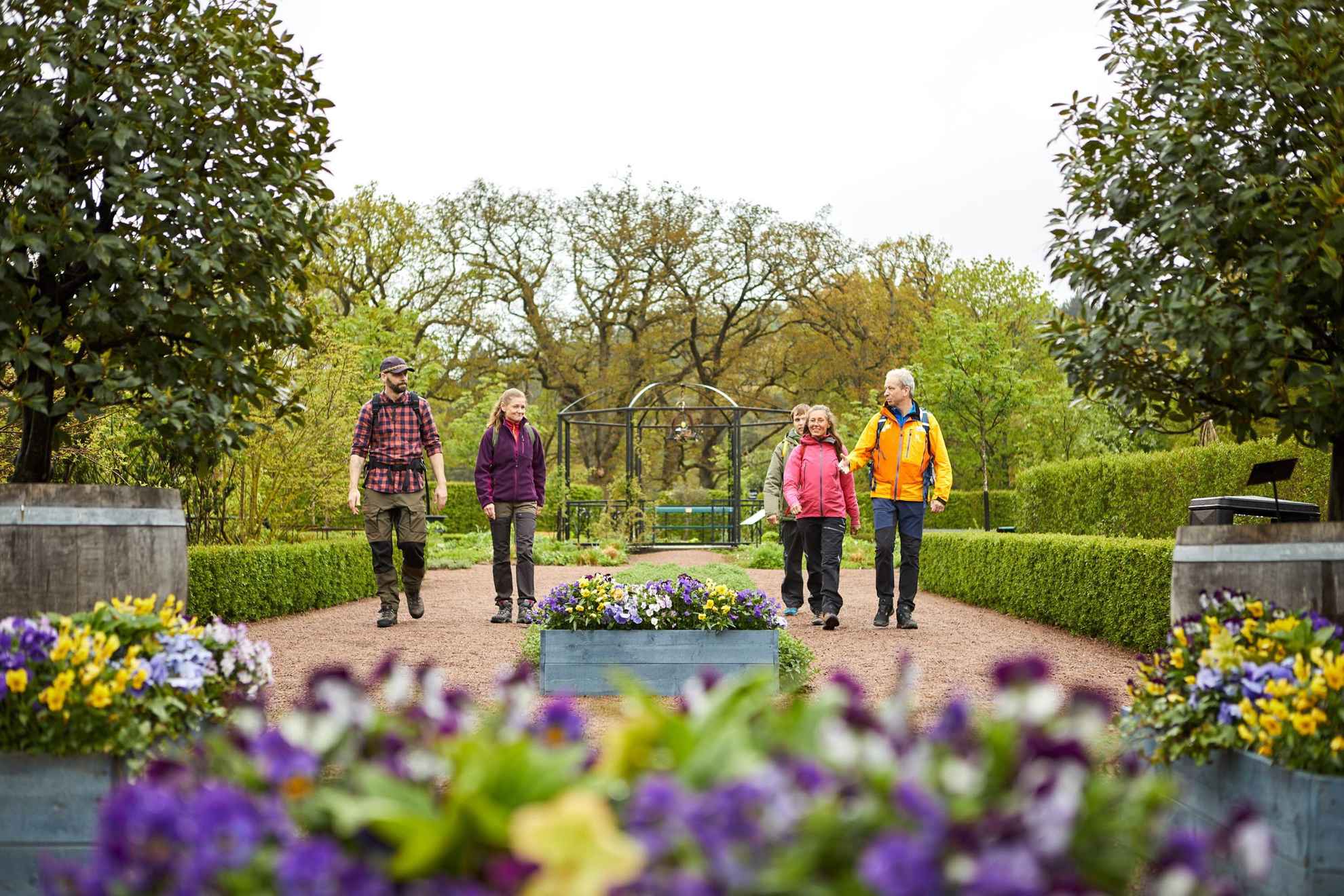 Een groep van vijf mensen wandelen in een mooi aangelegde tuin. Paarse en gele bloemen in de voorrand van de afbeelding. Op de achtergrond zie je bomen en groen.