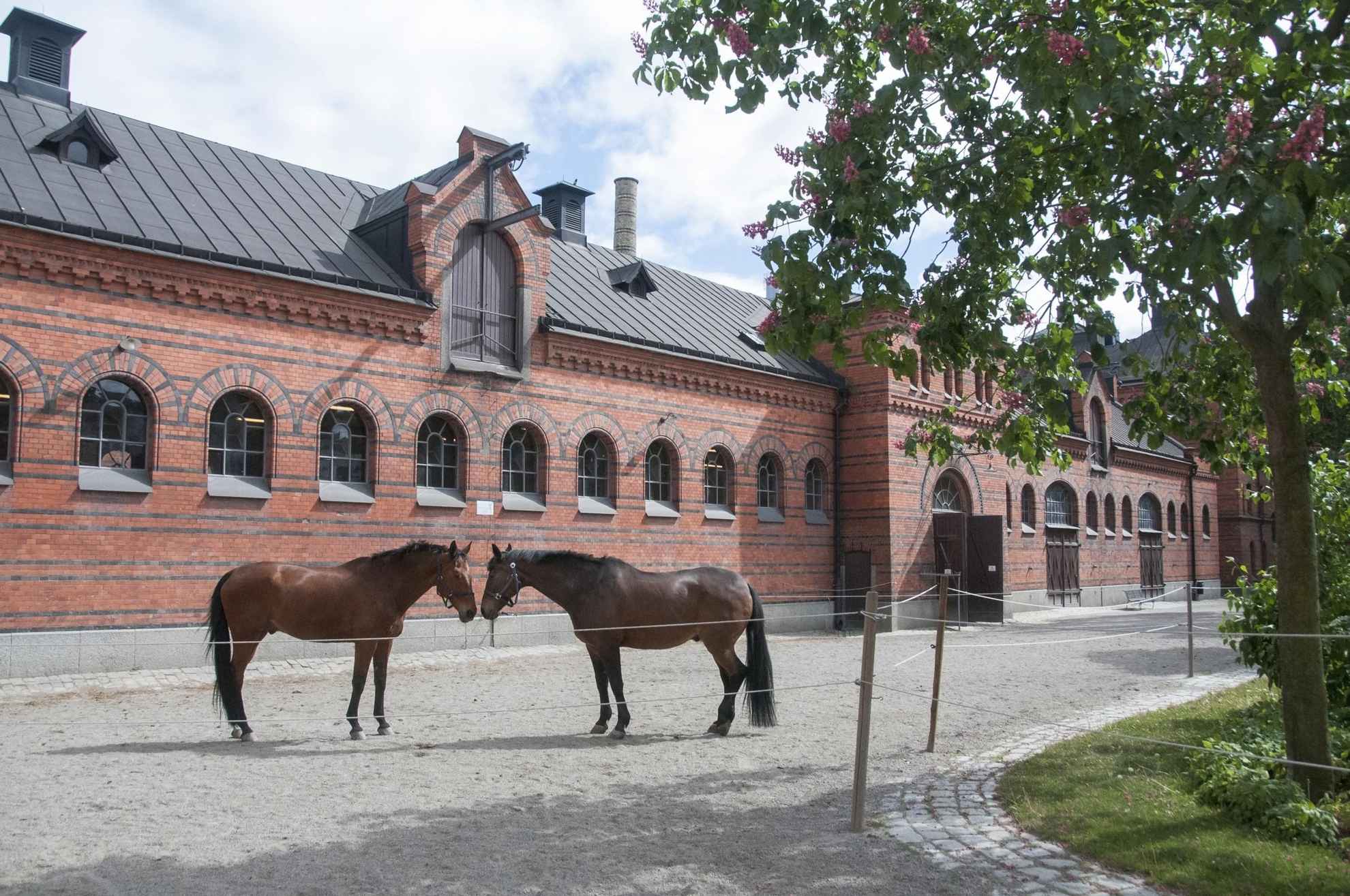 The Royal Stables, Stockholm