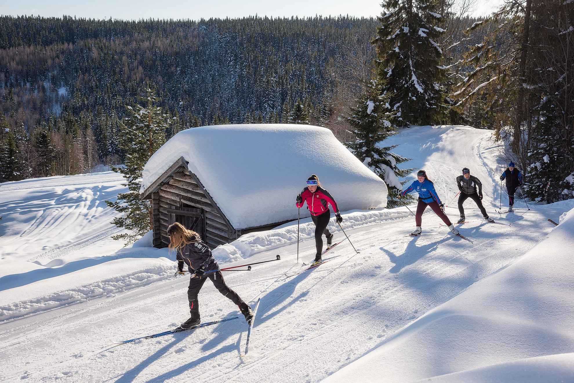 Vijf mensen zijn op een zonnige dag in de winter aan het langlaufen op een heuvel.