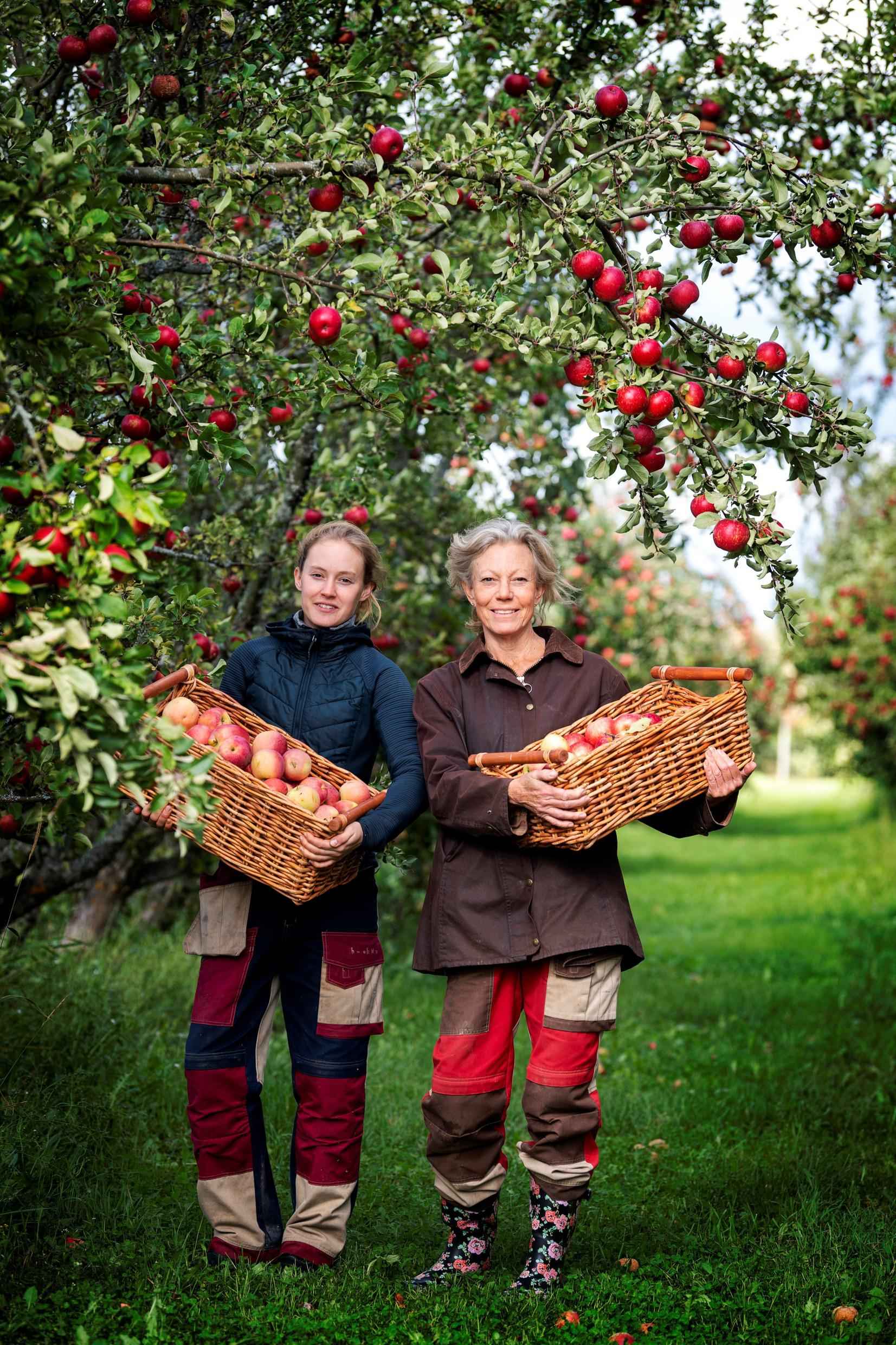 De moeder en dochter van Köpings Musteri houden manden vol rode appels vast. Ze staan buiten in hun appelboomgaarden.