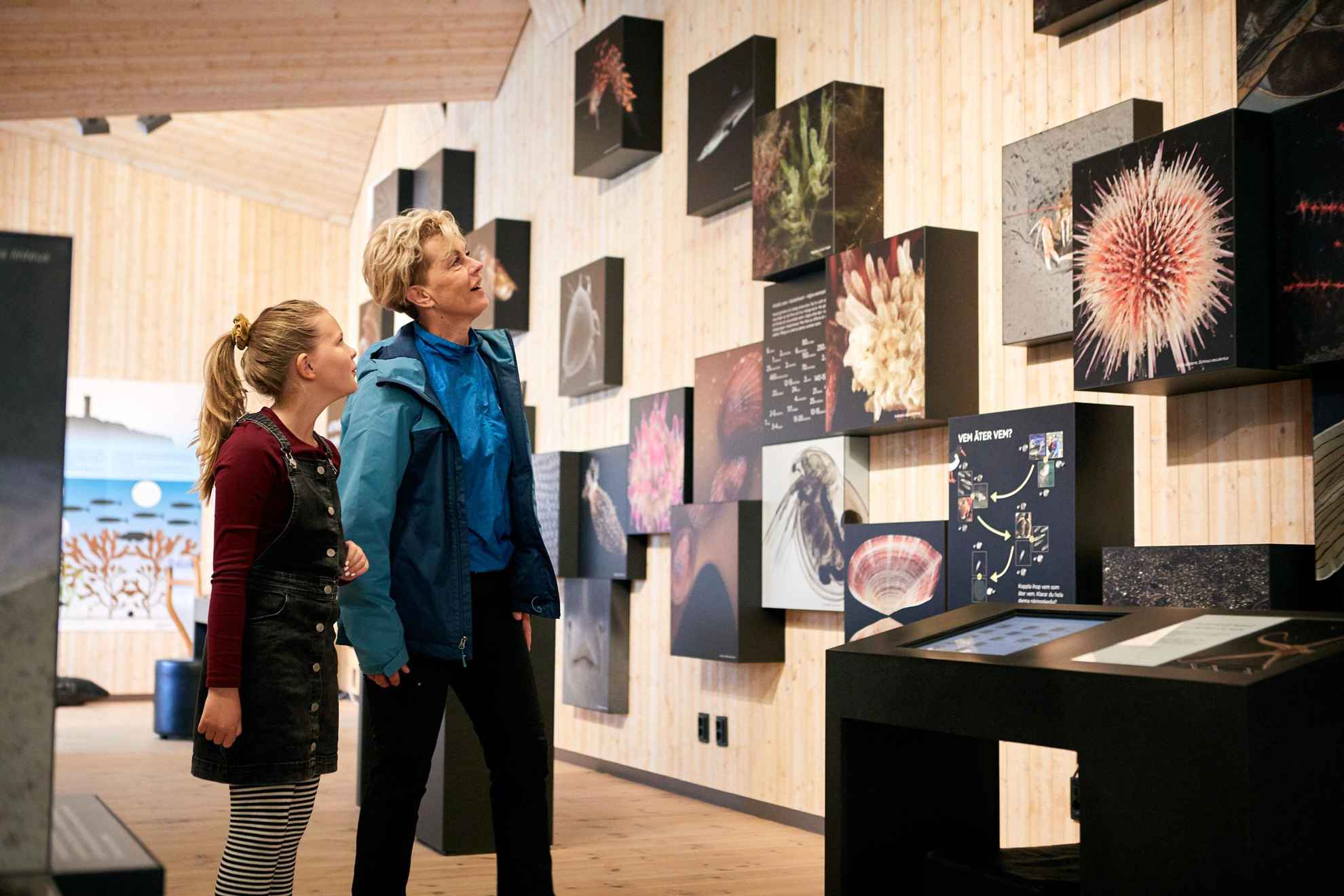 Een vrouw en een meisje kijken naar een tentoonstelling met foto's van bewoners uit de zee.