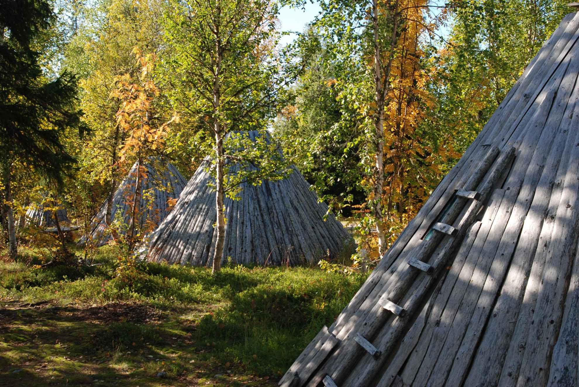 Drie houten hutten omgeven door bomen met herfstkleuren. De dichtstbijzijnde hut heeft een houten ladder aan de buitenkant.
