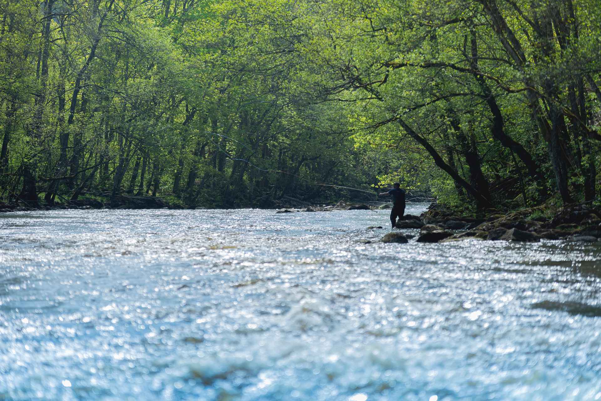 Een persoon is aan het vliegvissen in de rivier de Örekil. De rivier is omgeven door groen.