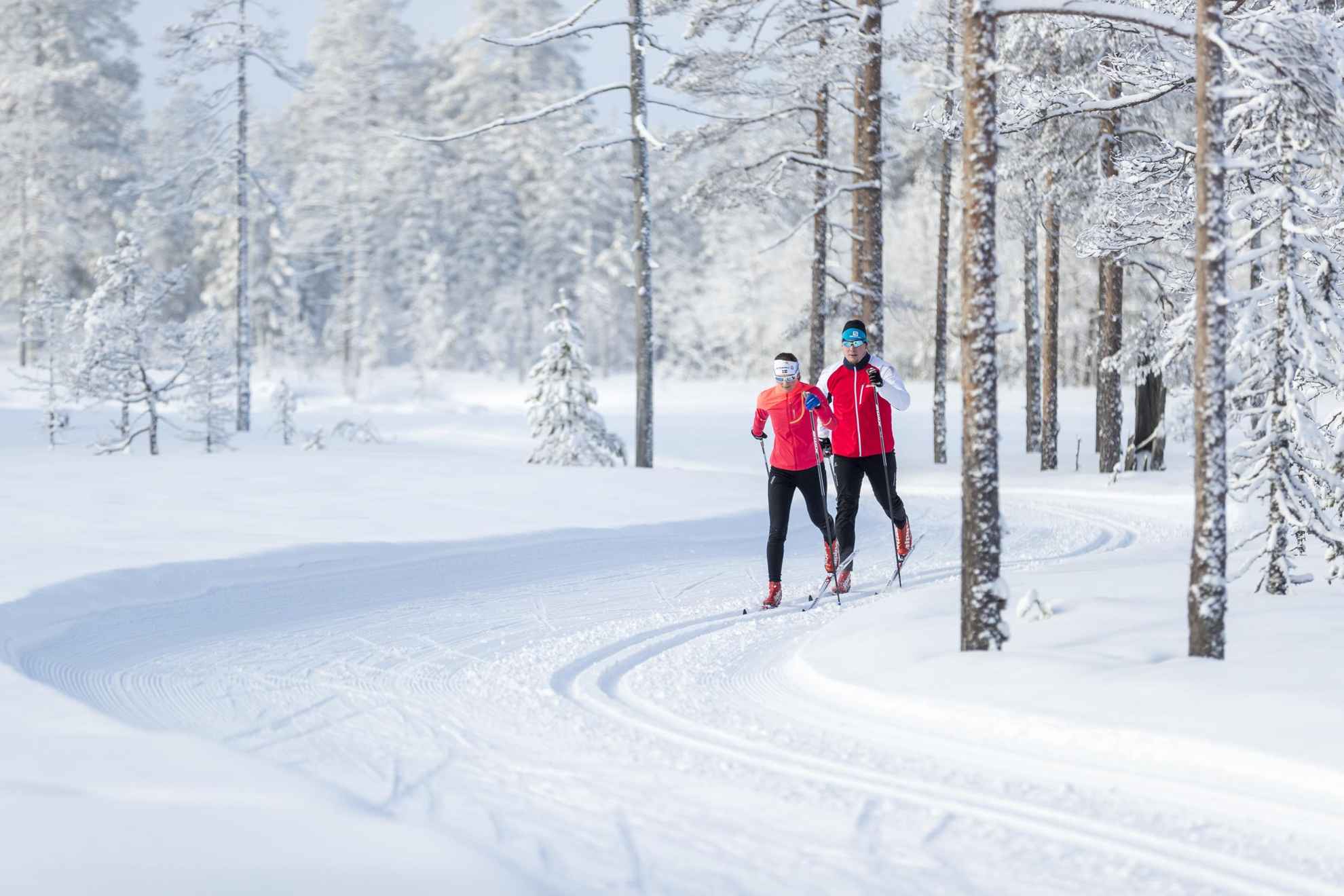 Twee mensen in rode jassen zijn aan het langlaufen in een besneeuwd bos.