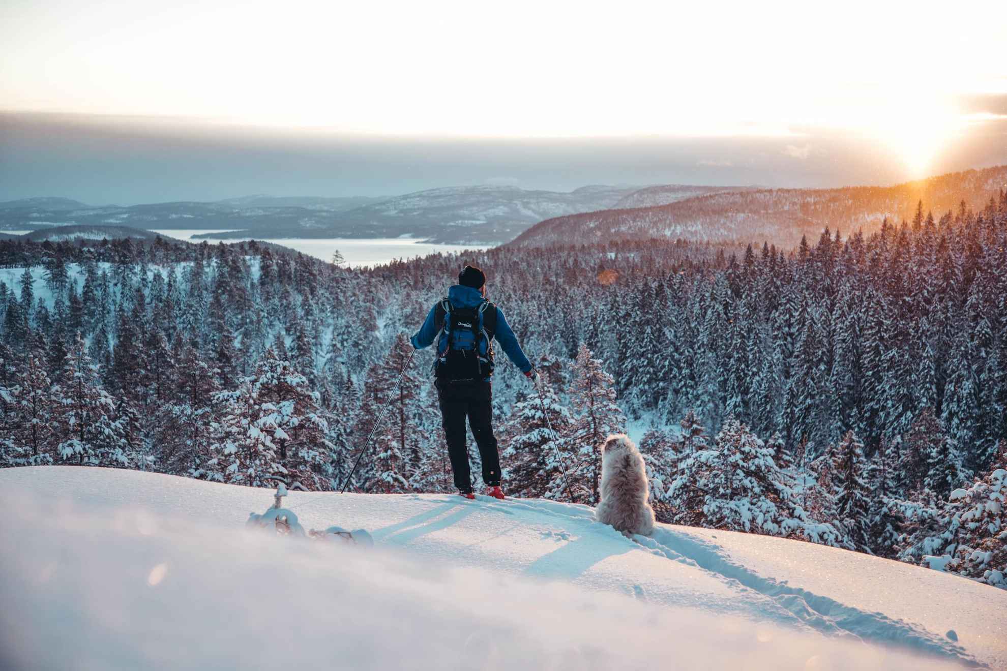 Een persoon op ski's met een hond op een berg, uitkijkend over bos en heuvels aan de hoge kust.