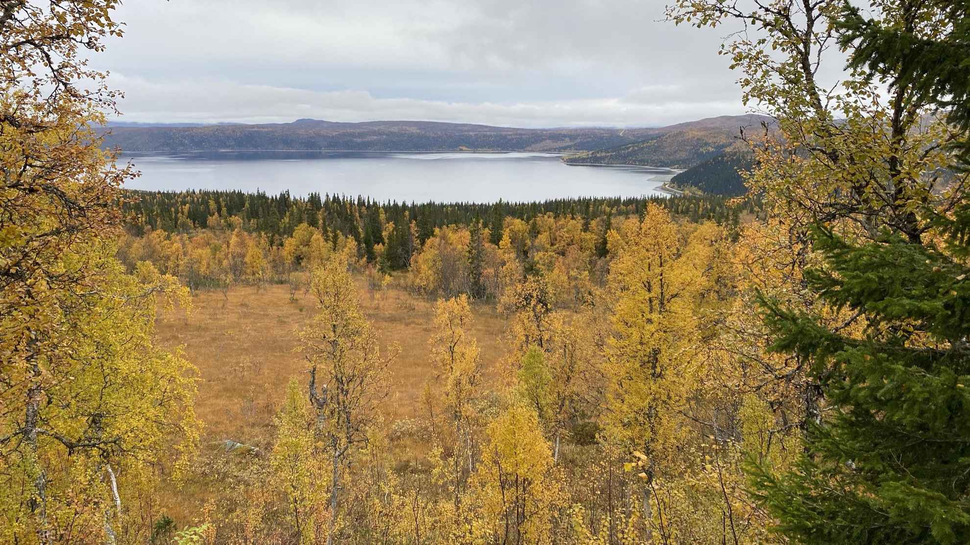 Een meer is omgeven door bergen en bossen. De bomen hebben gele en oranje herfstkleuren.