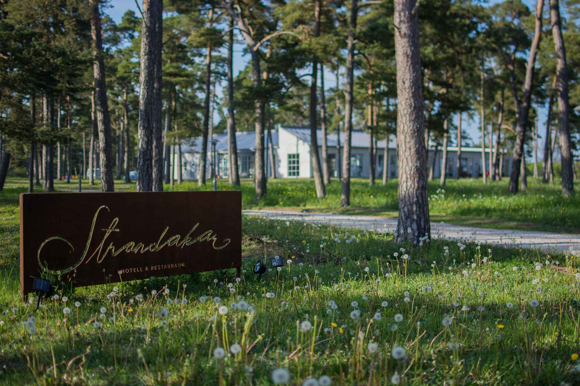 Een bord met de tekst Standakar hotel & restaurant is te zien tussen bloeiende paardenbloemen en dennen. Een wit gebouw op de achtergrond achter de bomen.