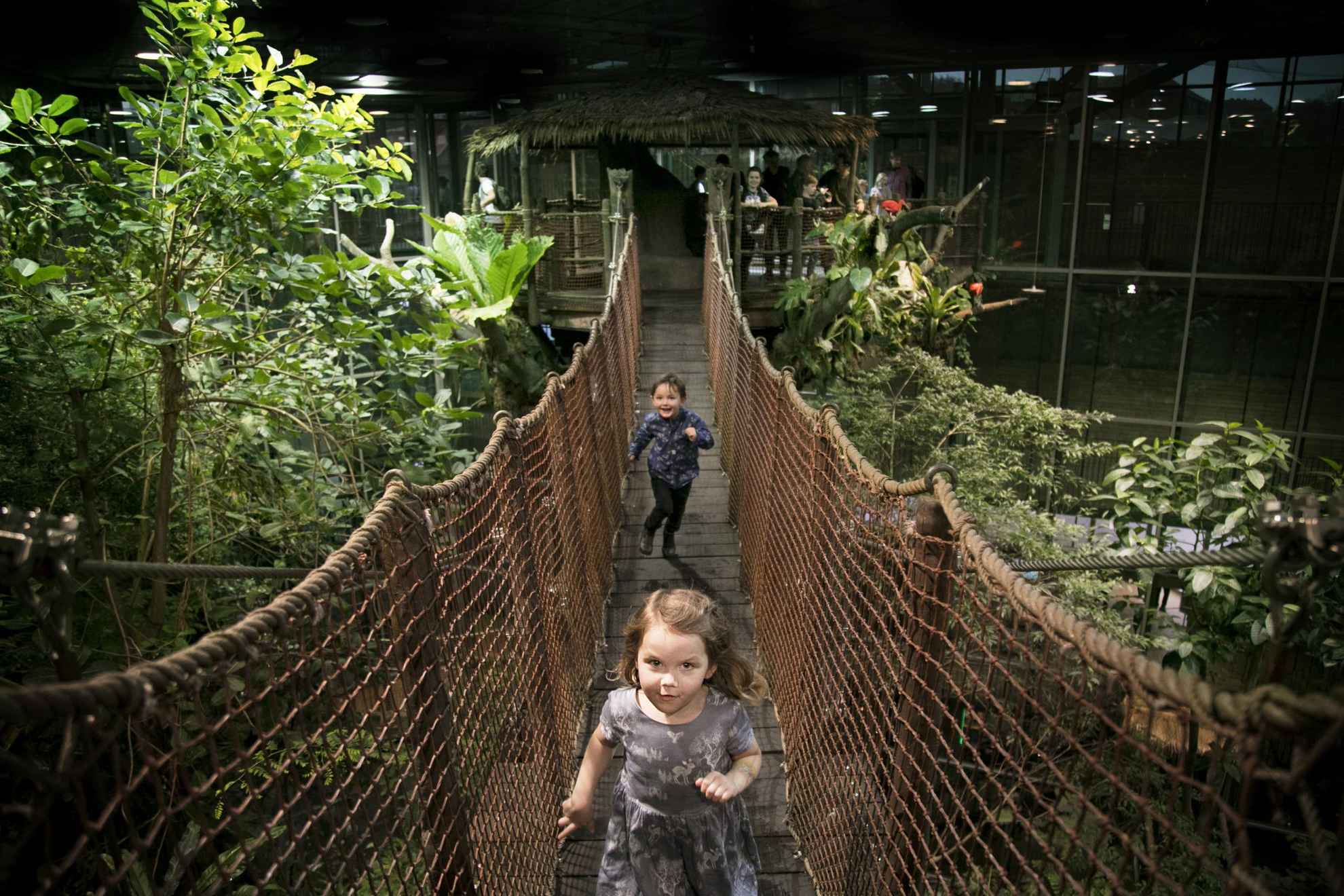 Twee rennende kinderen steken een hangbrug over in het wetenschapscentrum Universeum.