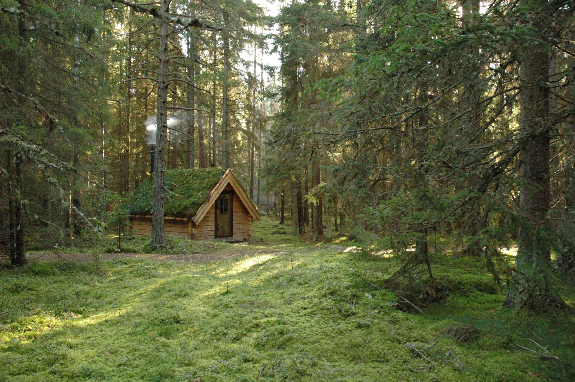 Een huisje met rieten dak in het bos in Zweden.