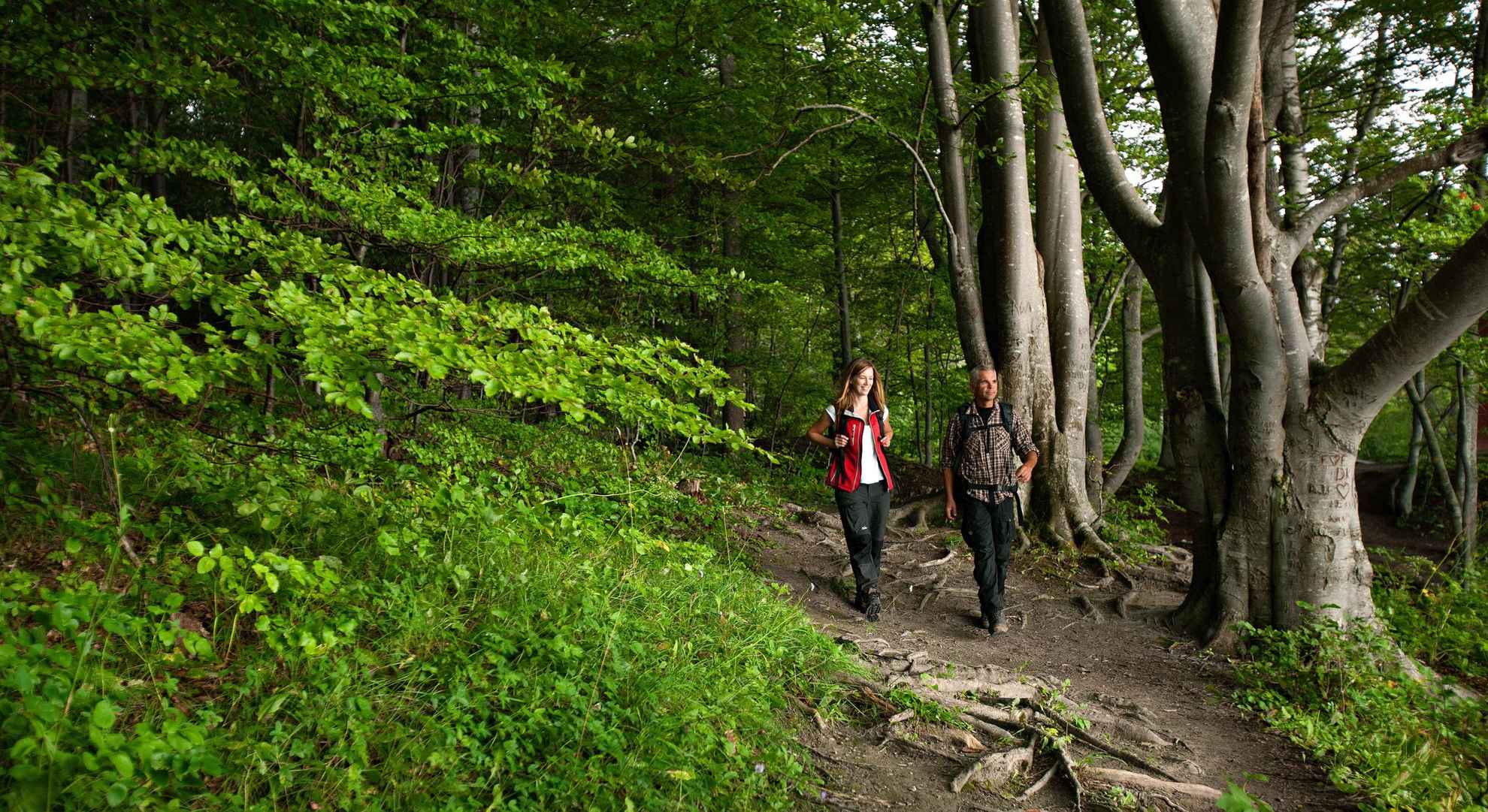 Een man en een vrouw lopen op een pad in een bos.