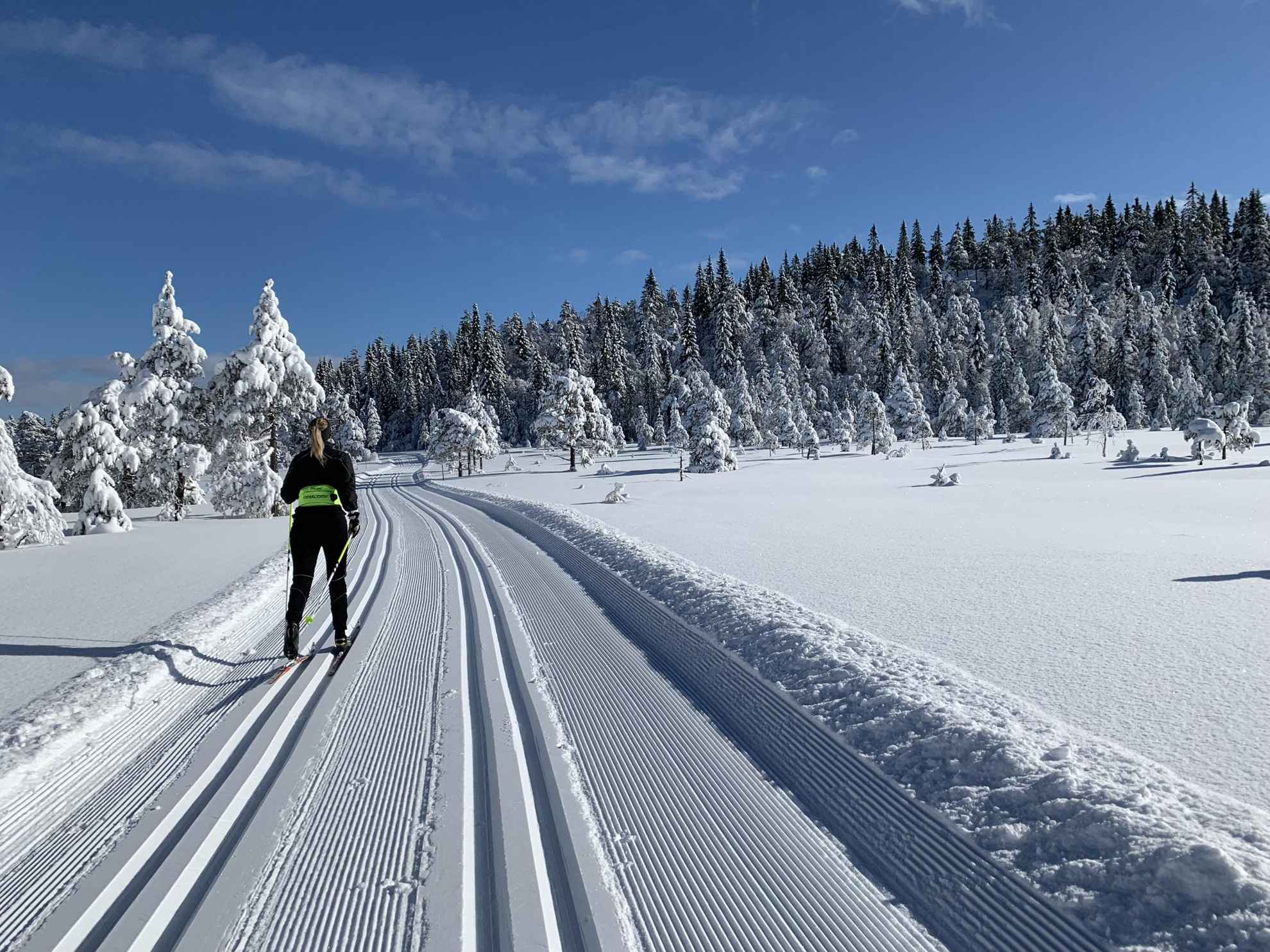 Een vrouw is aan het langlaufen in geprepareerde sporen in de sneeuw in de natuur.