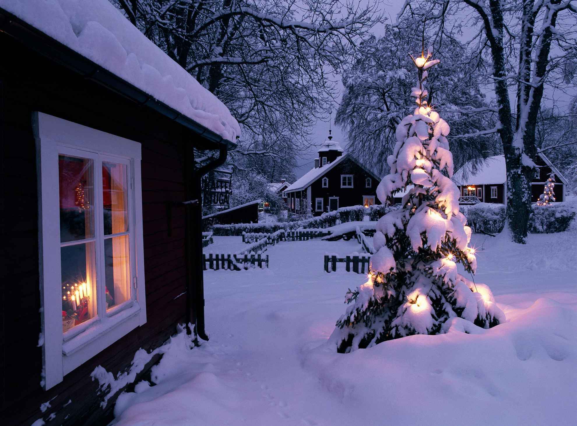Sneeuw bedekt overvloedig rode en witte huizen en een buiten versierde boom.