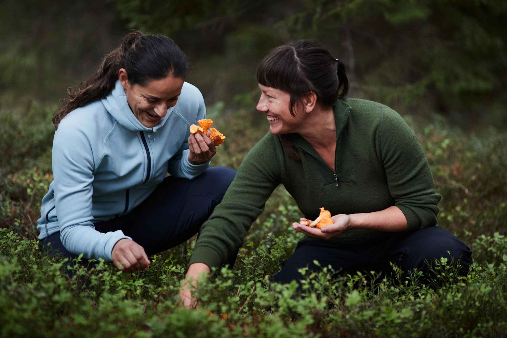 Twee dames plukken paddenstoelen in een bos.