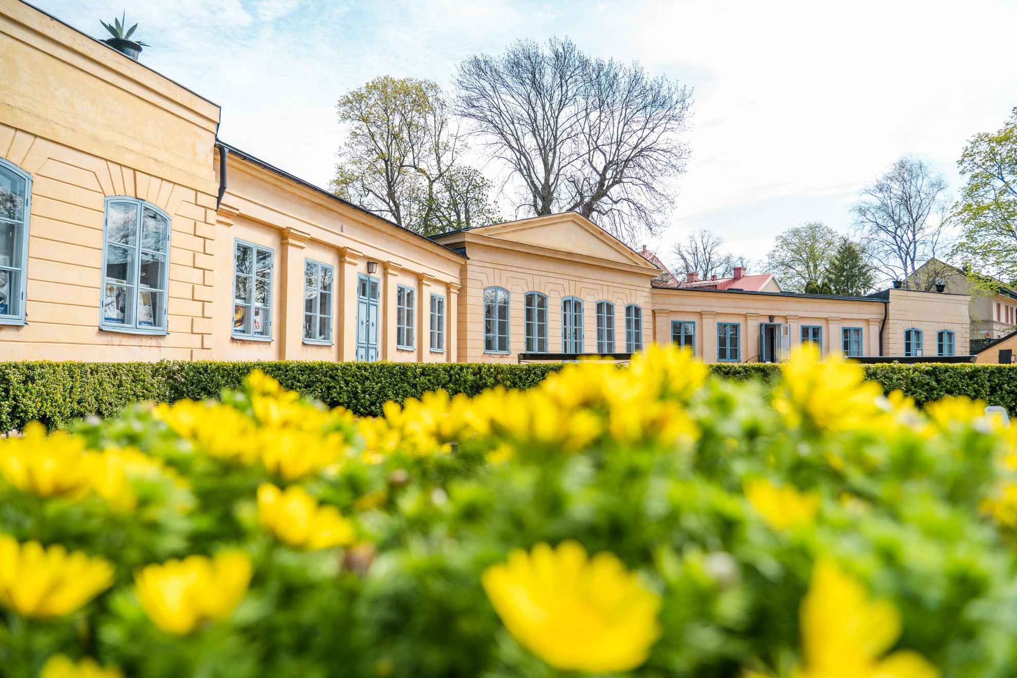 Het Linnaeus-museum, een oud oranje stenen huis, achter een geel bloembed.