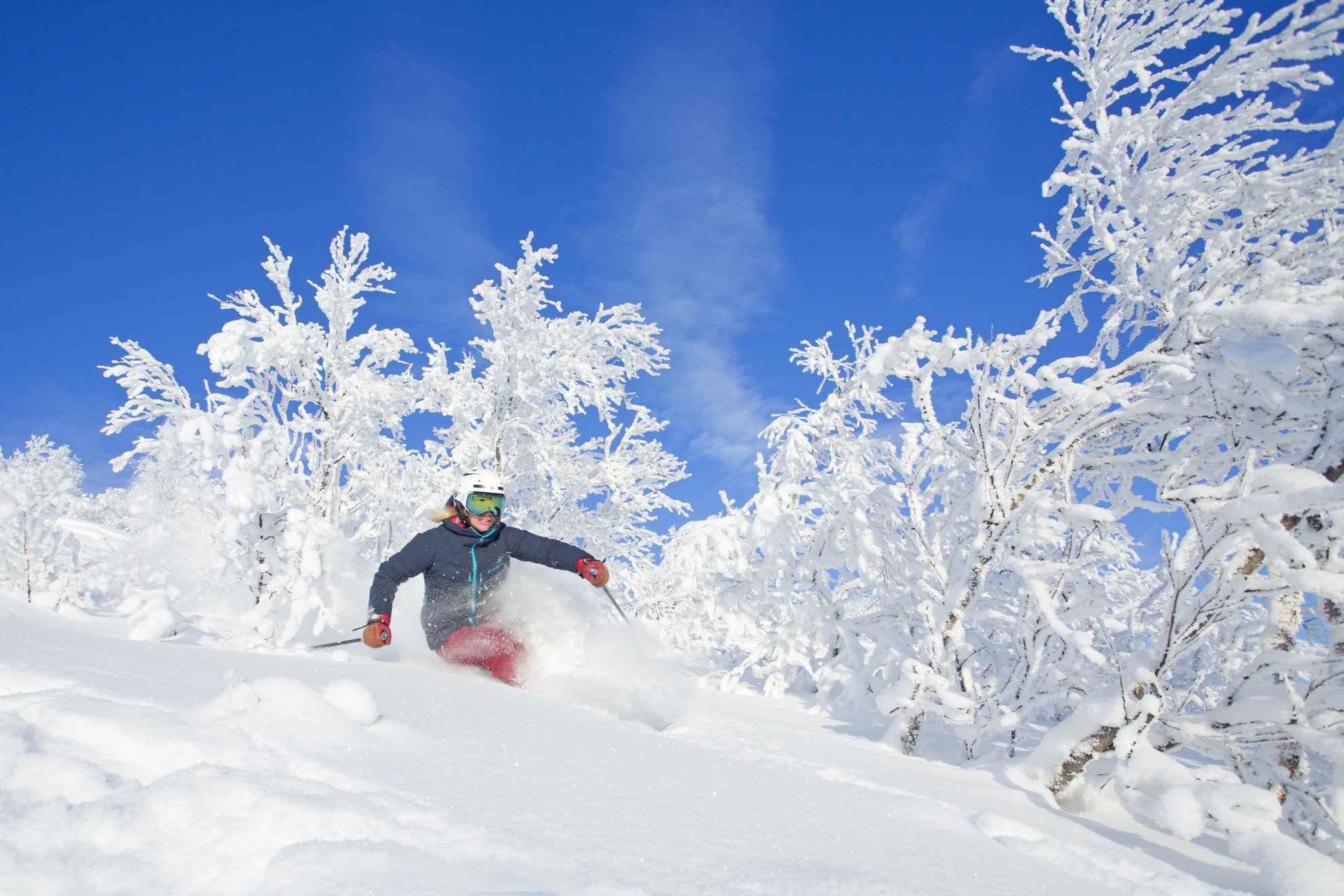 Een vrouw skiet off-piste. De grond en de bomen zijn bedekt met sneeuw en de lucht is blauw.