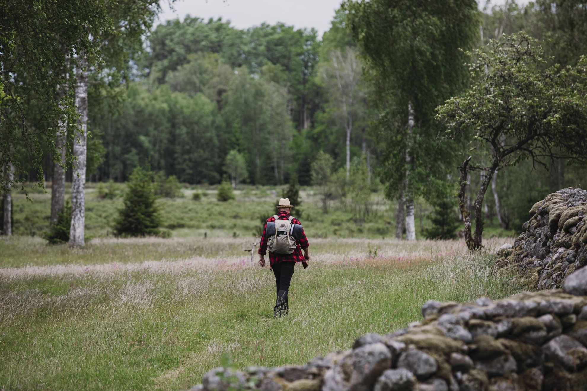 De rug van een man met een rugzak wandelt op een wandelpad in de natuur in Småland.