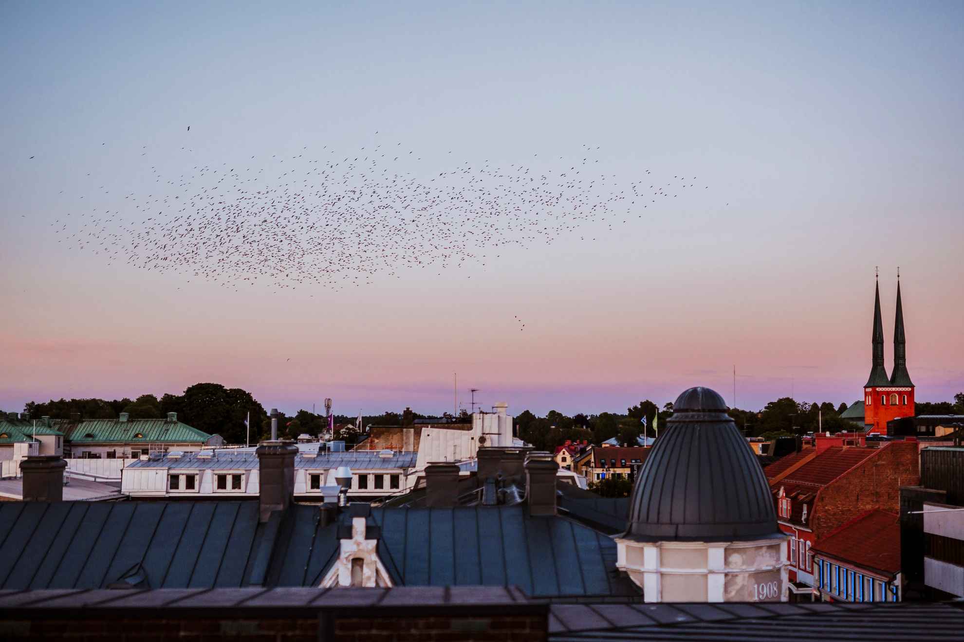 Uitzicht op de daken van Växjö in de schemering. Een zwerm vogels vliegt door de lucht.