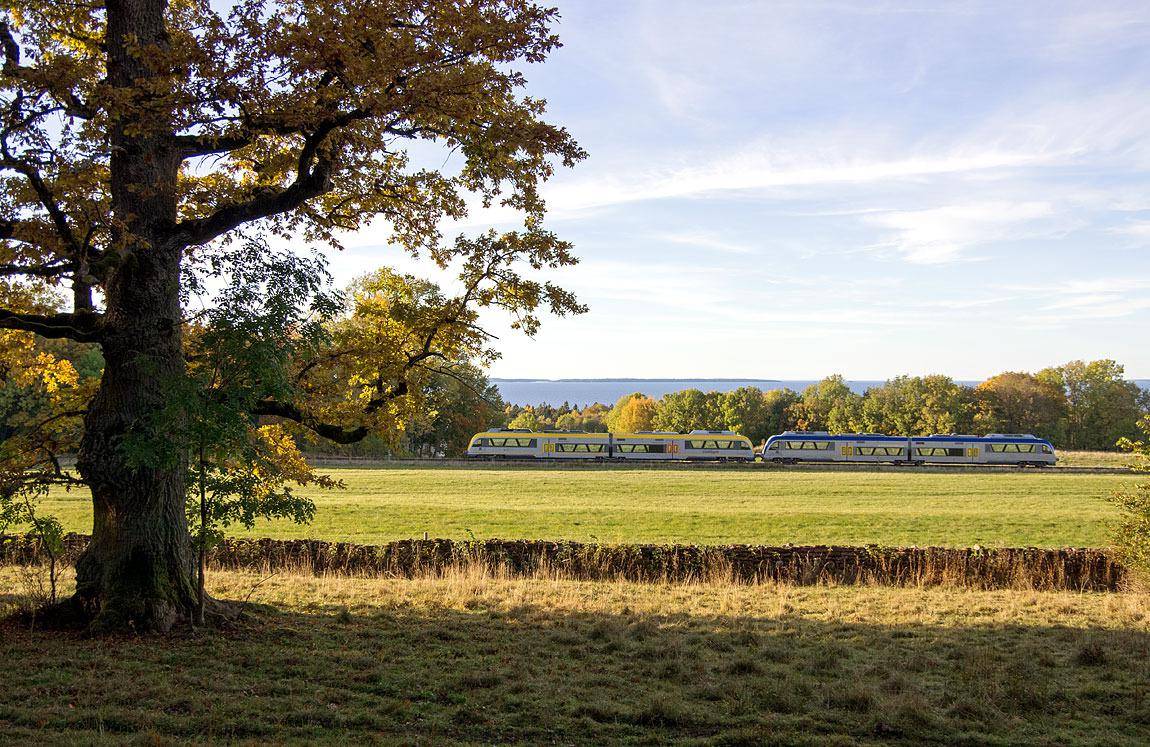 Een trein rijdt langs een veld in de herfst.