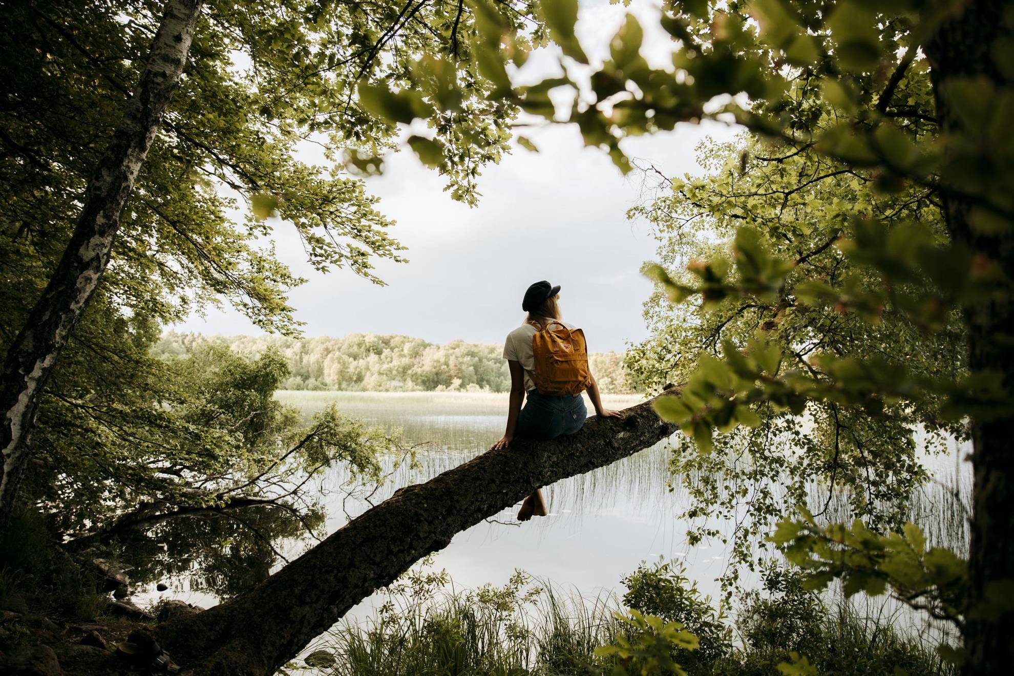 A person with a backpack sits on a three looking at a lake.
