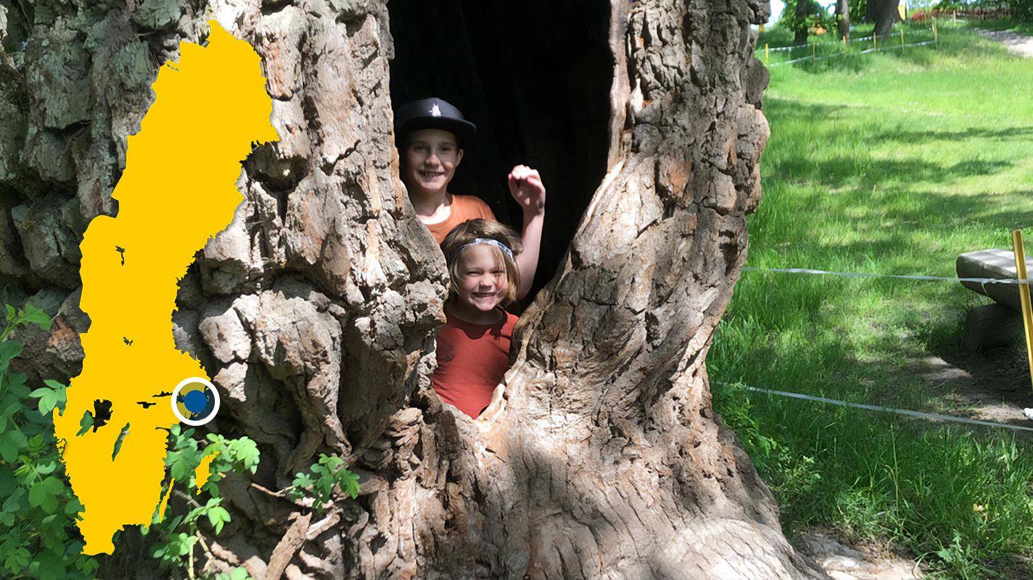 Twee kinderen staan in een holte in een grote boom en glimlachen naar de camera. Er is een gele kaart van Zweden met een blauwe stip die Ektorp markeert.