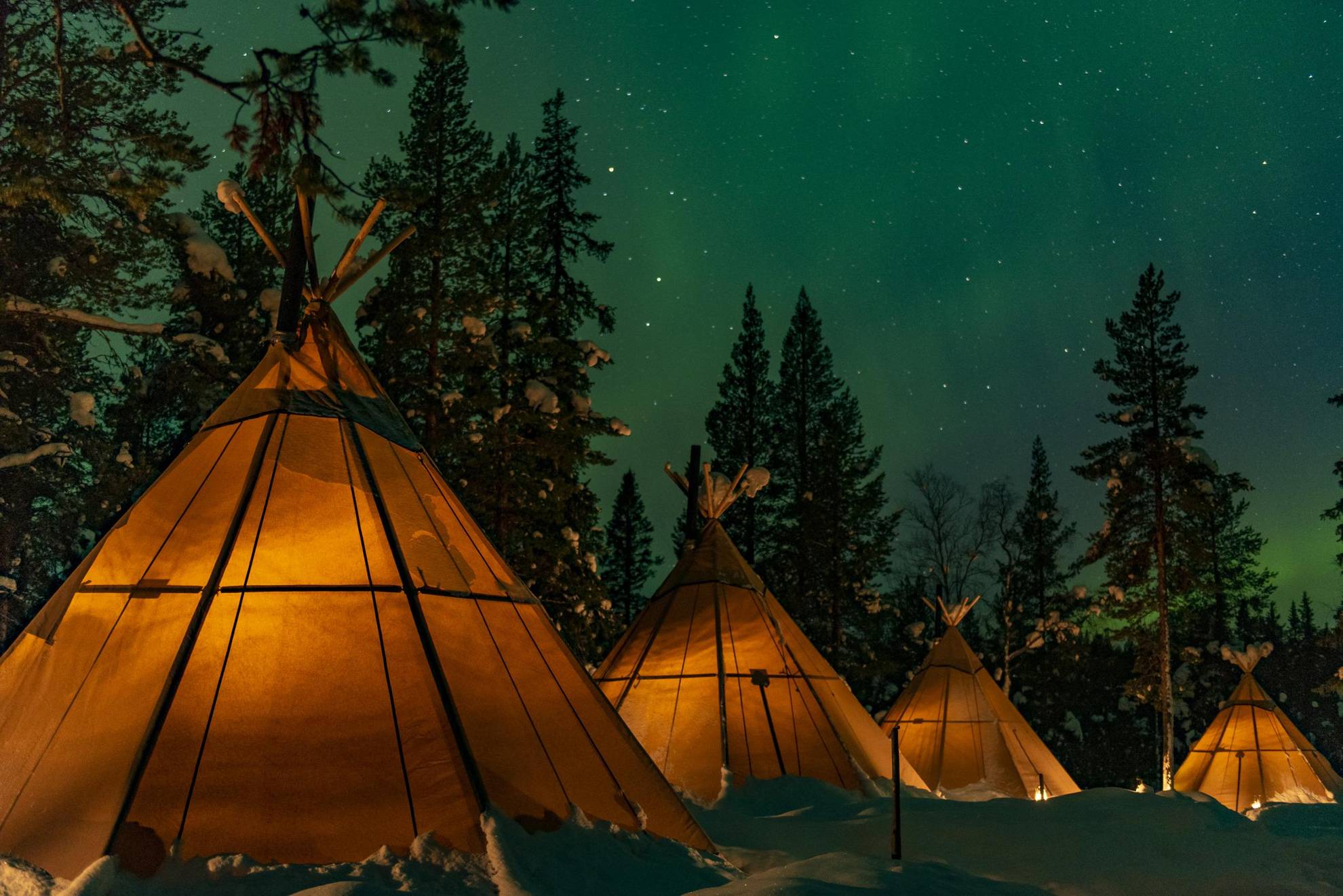 Vier lavvu-tenten op een natuurkamp in Lapland. Het is een sterrennacht in een besneeuwd landschap en het licht gloeit in de tenten.
