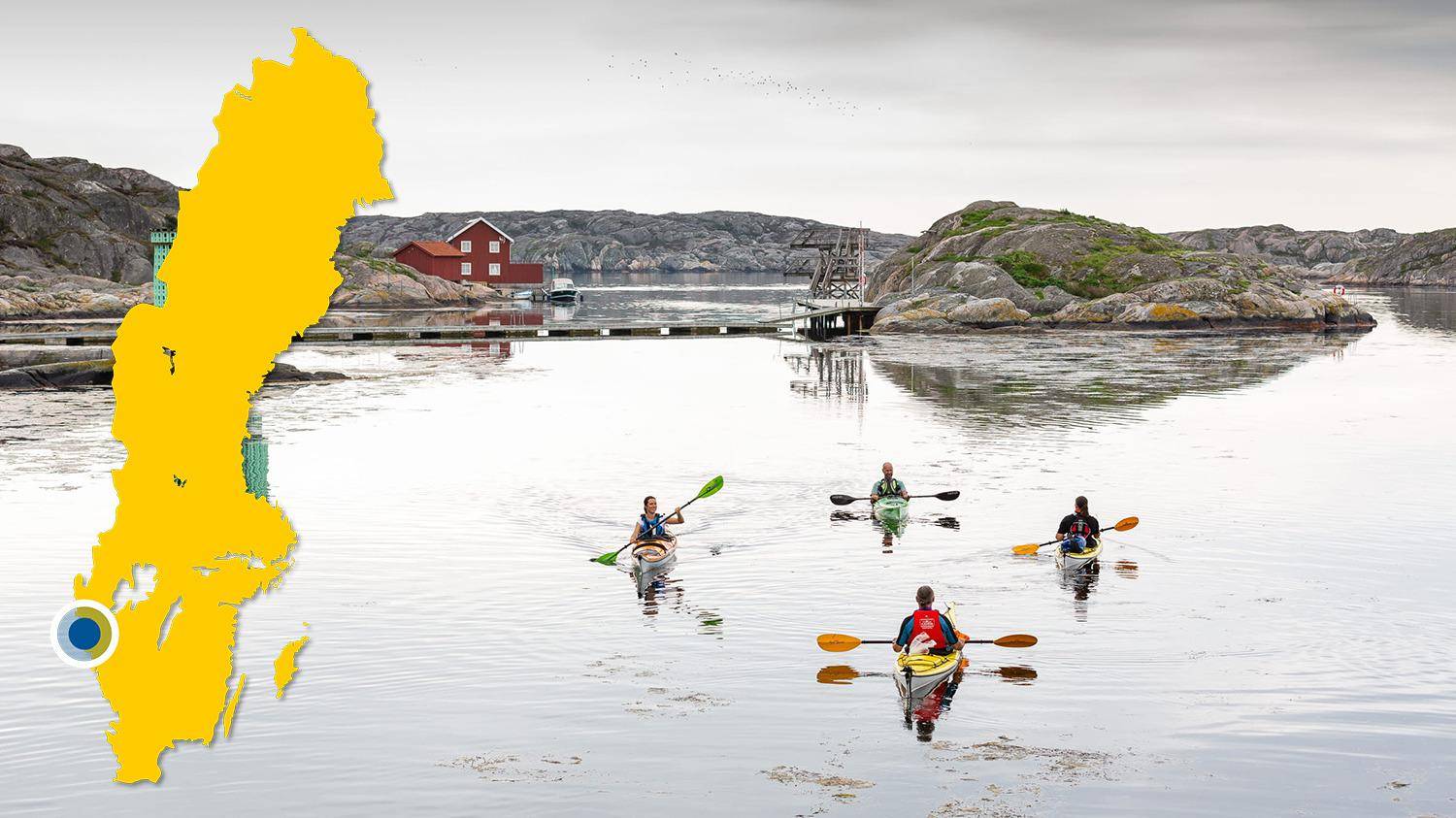 Vier mensen kajakken in de archipel. Er is een gele kaart van Zweden met een blauwe stip die de locatie van Skärhamn aangeeft.