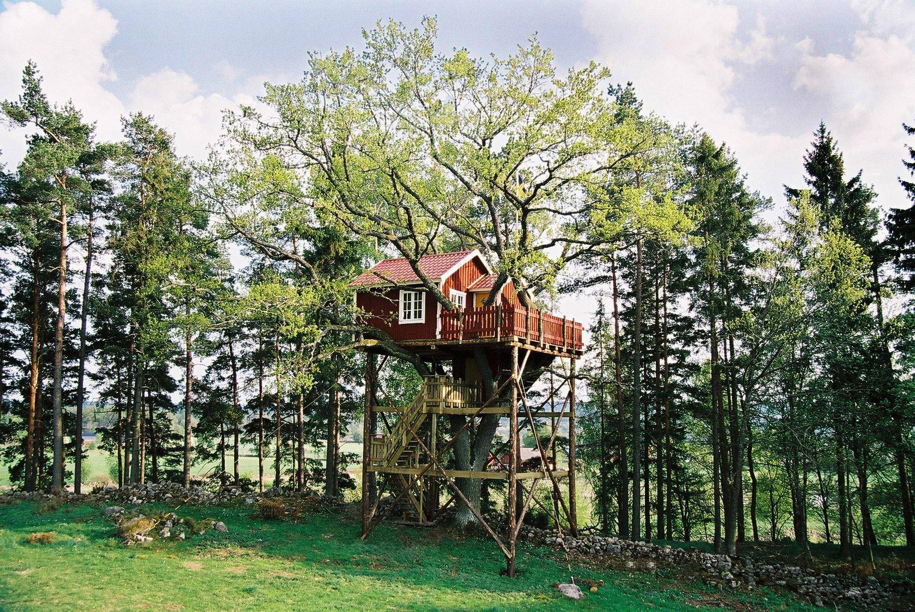 Een rode boomhut op 6,5 meter hoogte tussen de takken van een eik. Het heeft een houten trap.