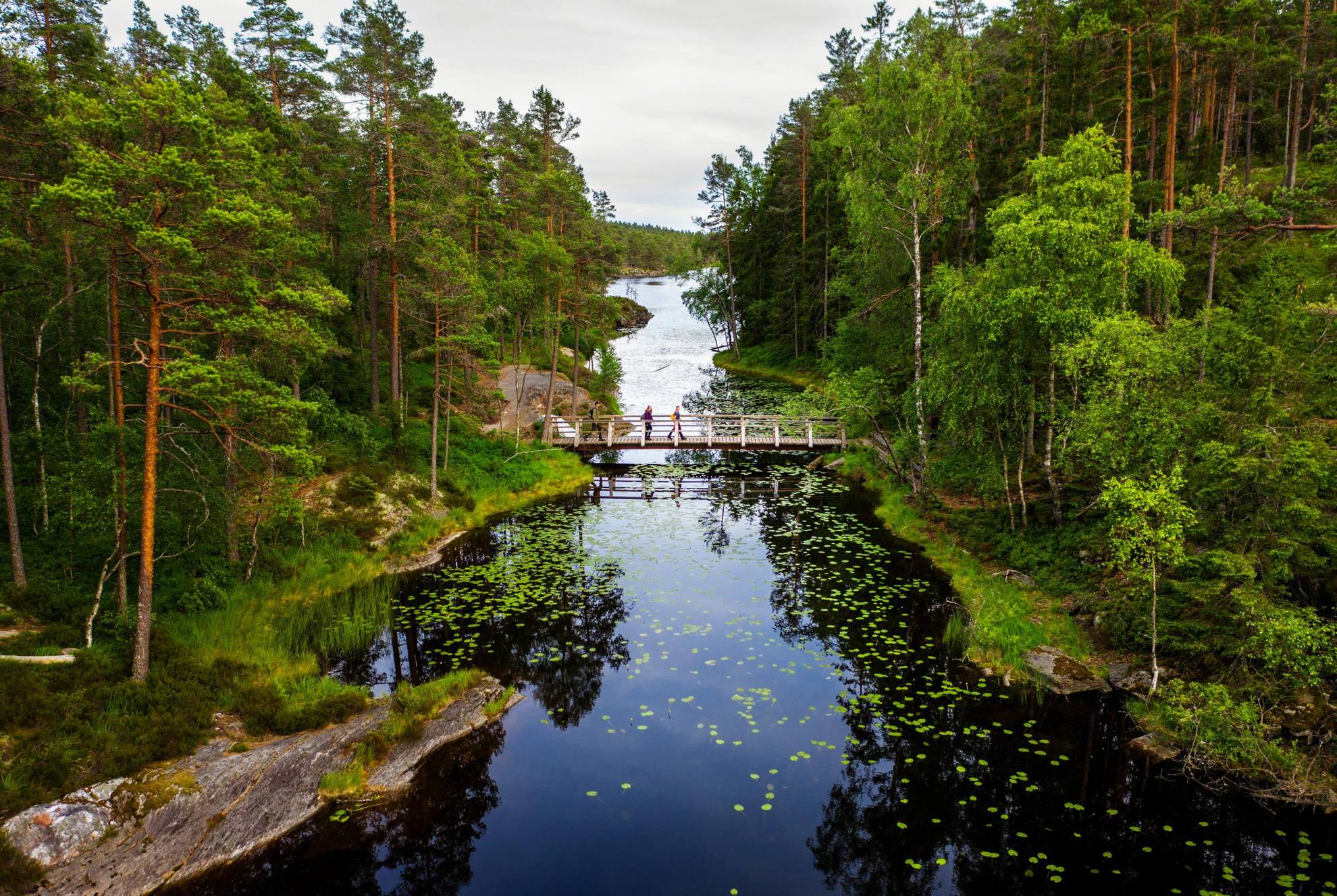 Drie mensen lopen op een kleine houten brug over een meer. Aan weerszijden van de brug zijn bossen.