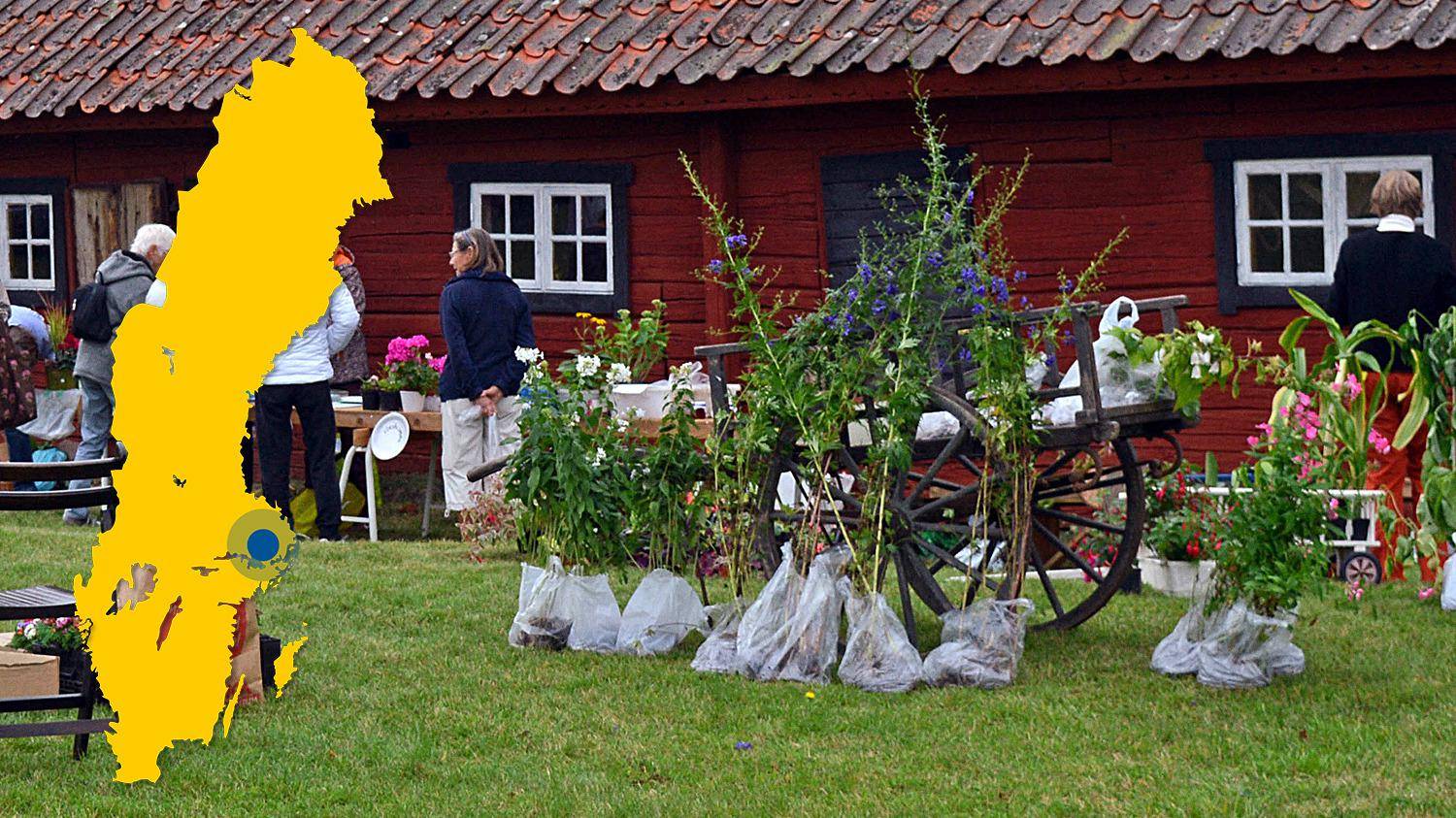 Bloemen op een groen gazon voor een rood houten huis. Een gele kaart van Zweden met een markering die de locatie van Björksta aangeeft.