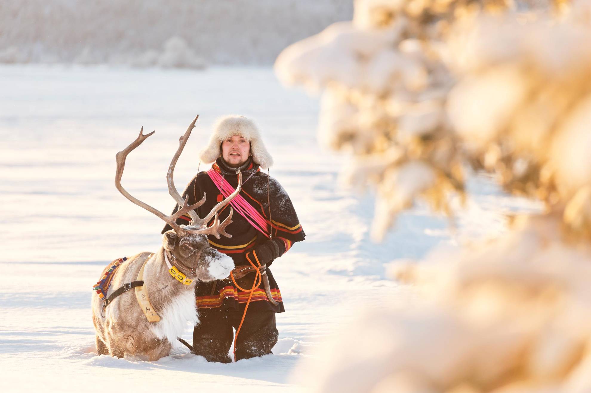 Sámi cultuur