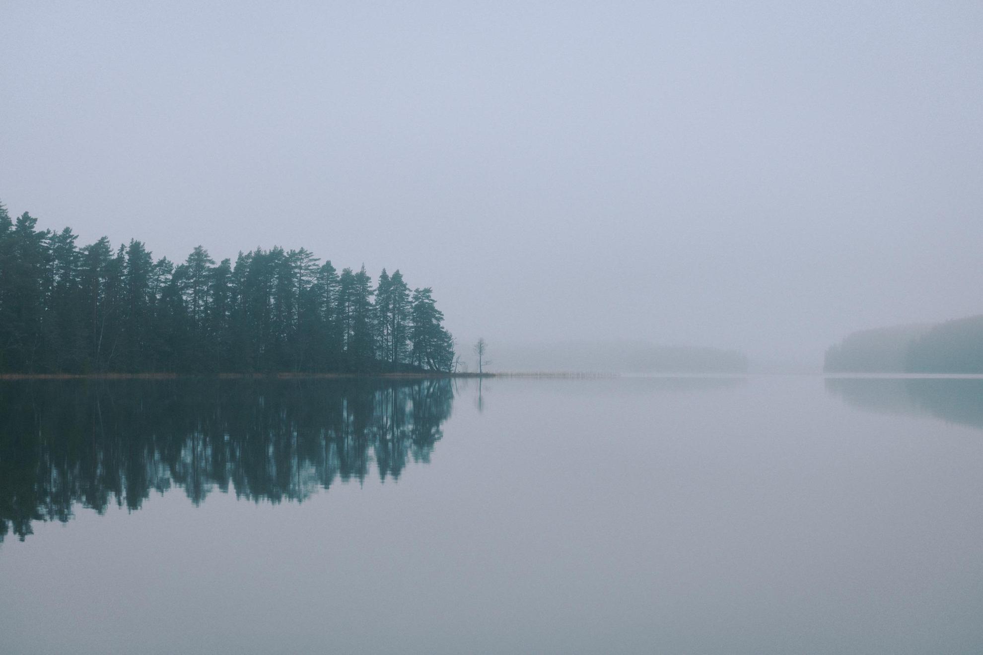 Een meer in de mist. Groene bomen en de grijze lucht worden weerspiegeld in het kalme water.