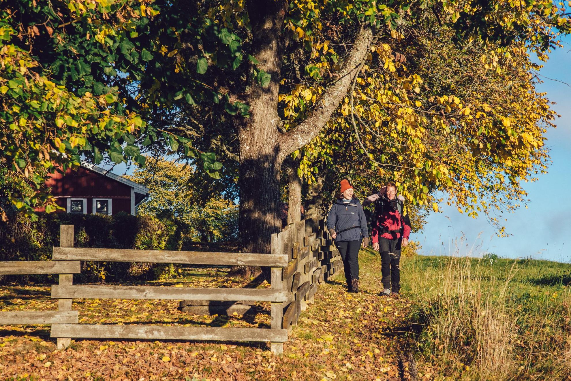 Twee mensen lopen naast een houten hek op een zonnige herfstdag.