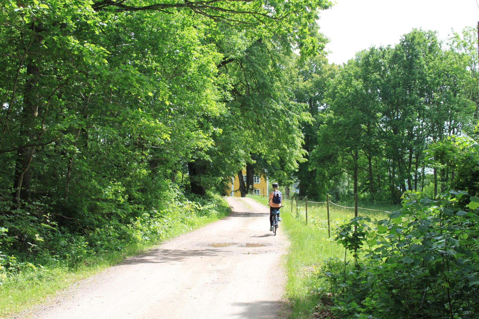 Een persoon met een rugzak fietst op een pad met bos aan de zijkanten. Aan het einde van de weg zie je een glimp van een geel huis.