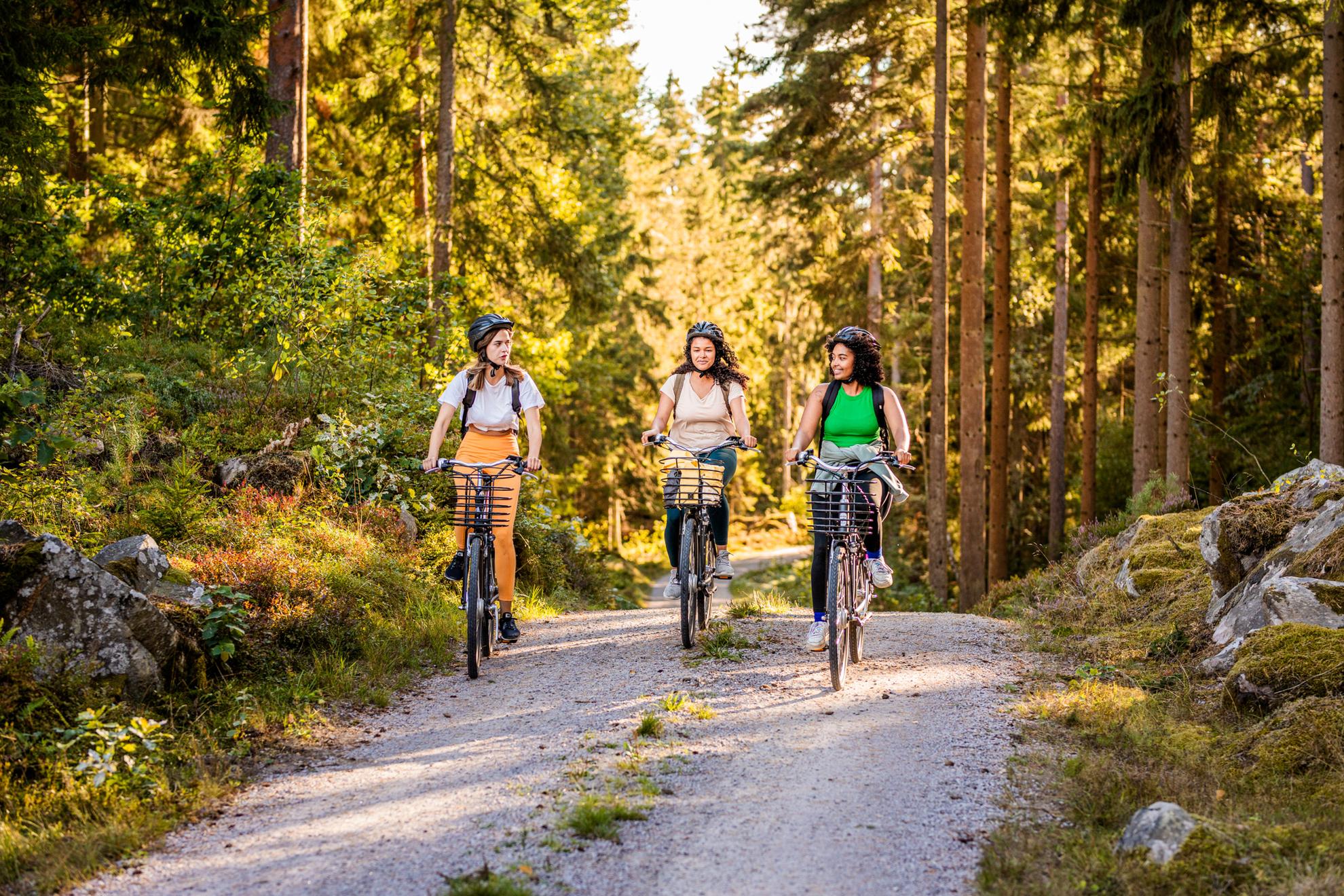 Drie jonge vrouwen met helmen fietsen door het bos op een onverharde weg.