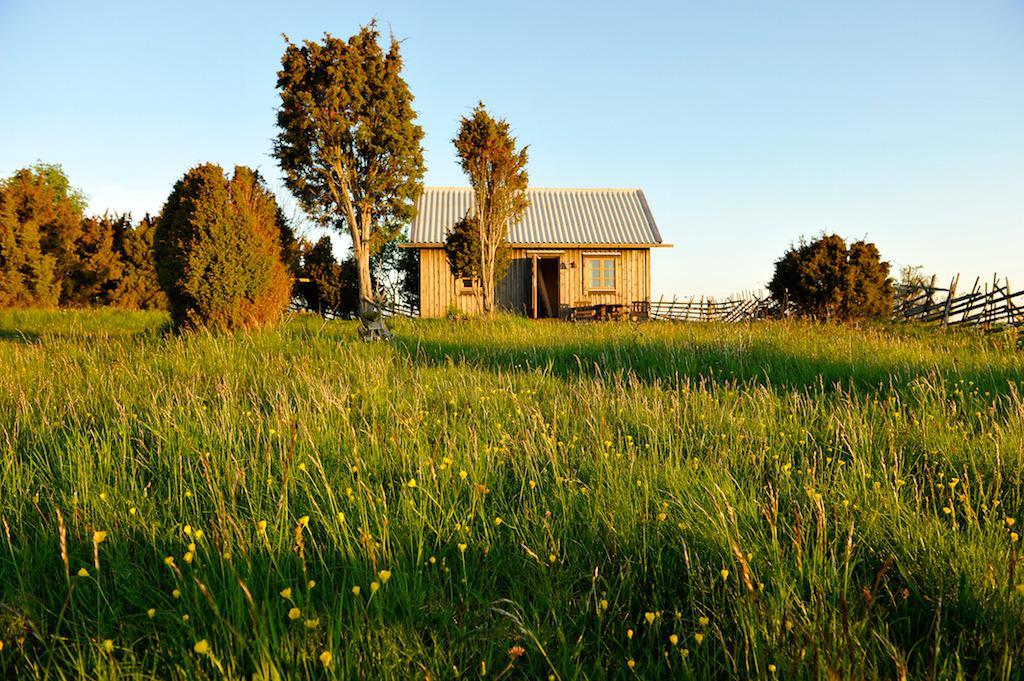 Een klein houten huisje op de hei. Een weiland voor het huis en wat struiken en bomen ernaast.