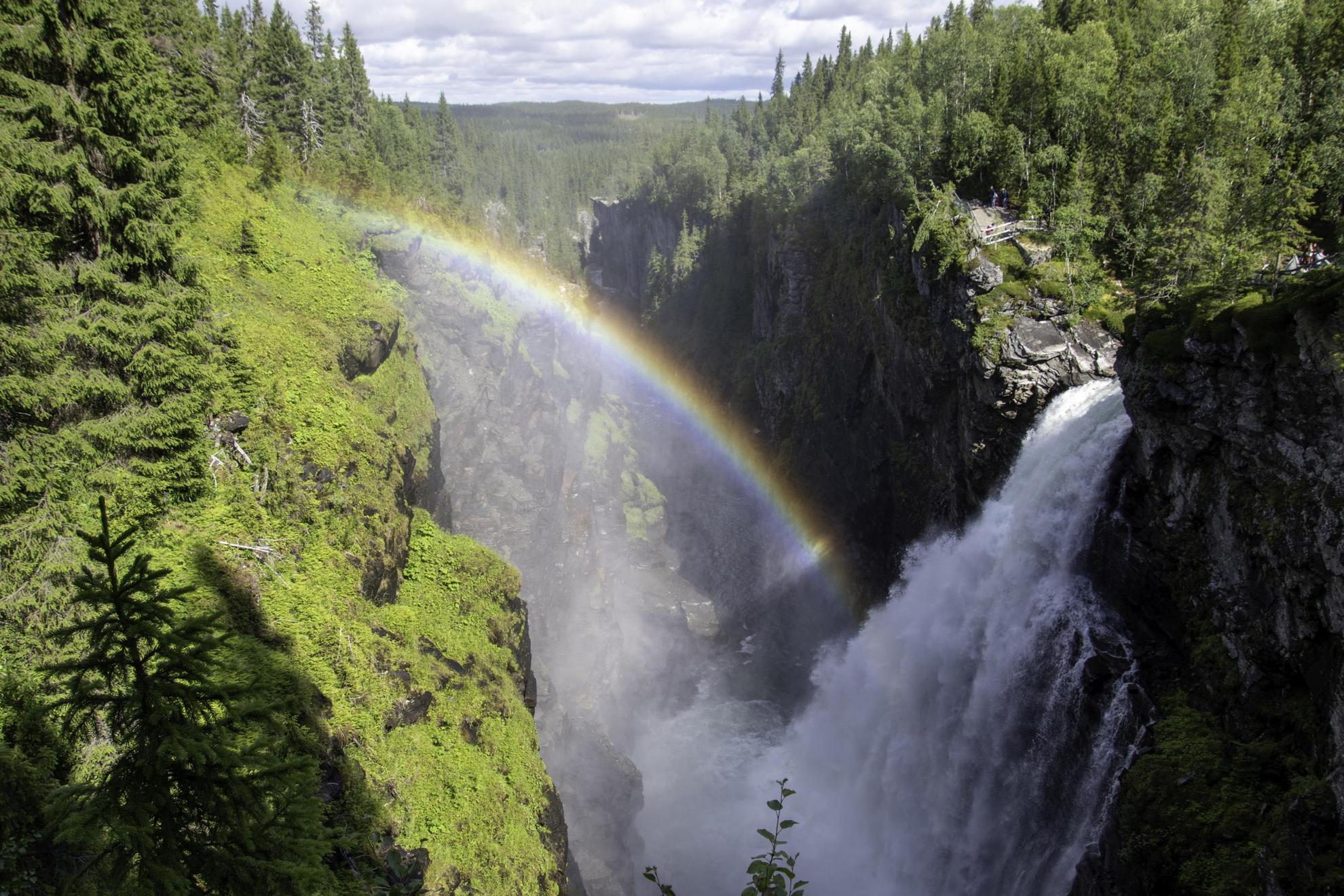 Een waterval stroomt van een klif in het bos. In de waterdamp van de herfst is een regenboog zichtbaar.