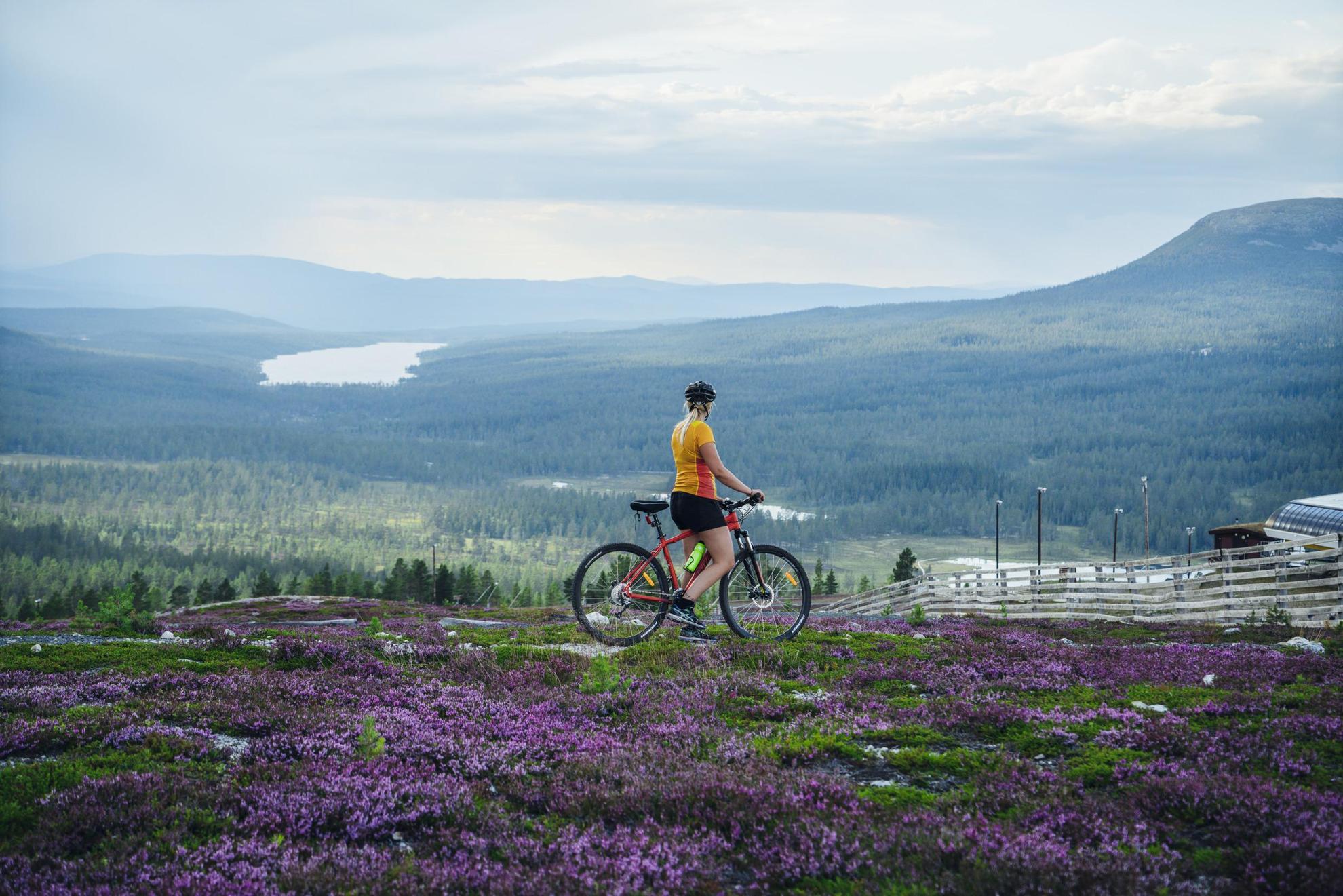 Een mountainbiker die bij paarse bloemen op een heuvel staat en uitkijkt over bos en bergen in Idre.