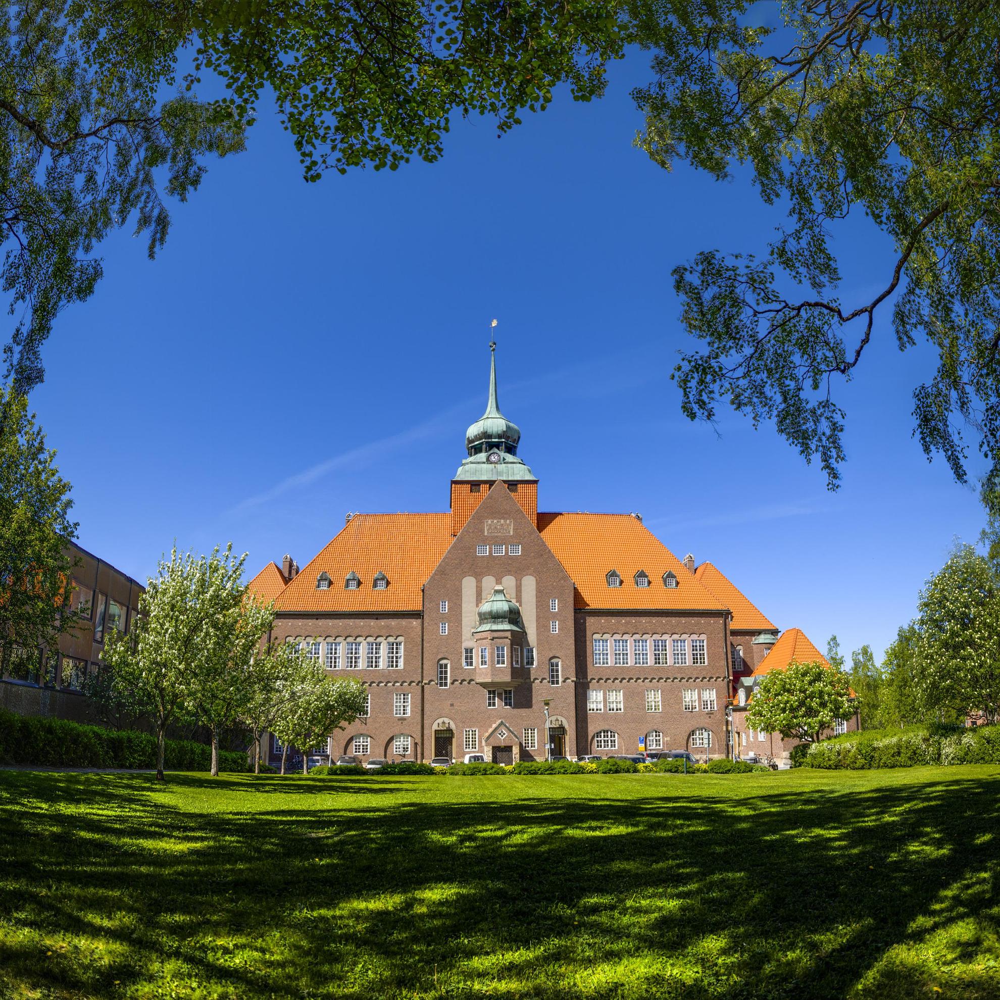 The backside of Town Hall in Östersund. A large brick building with a large tower in the middle. A green lawn, bushes and some trees in front of the building. Branches from a tree at the top of the picture.