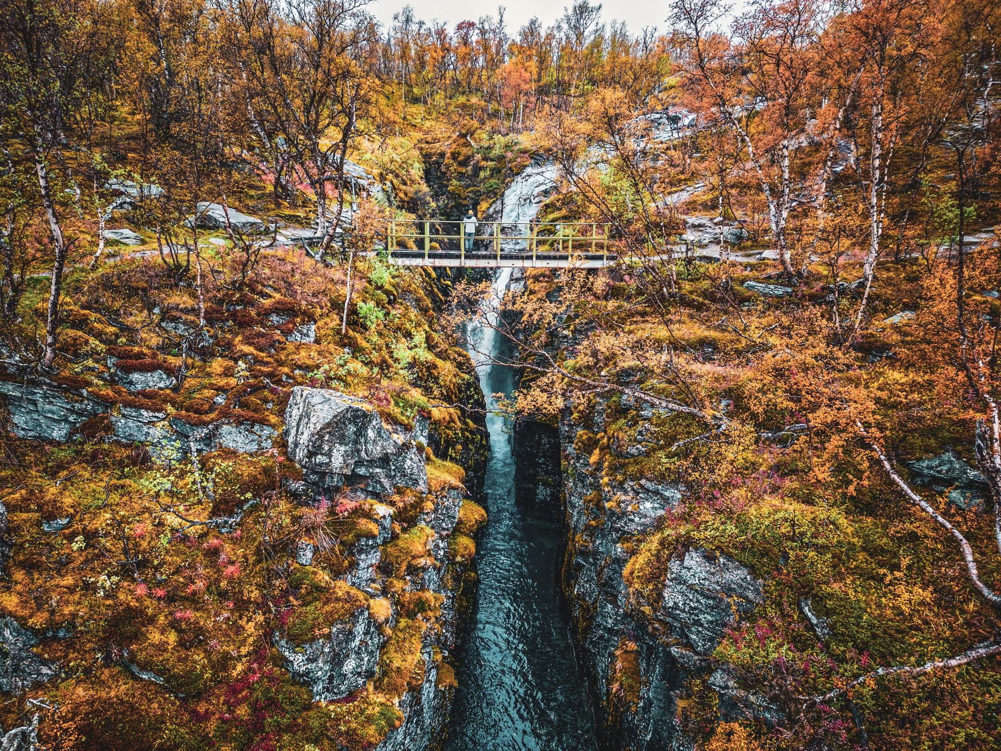 Een persoon staat op een kleine brug en kijkt in de herfst naar een waterval.