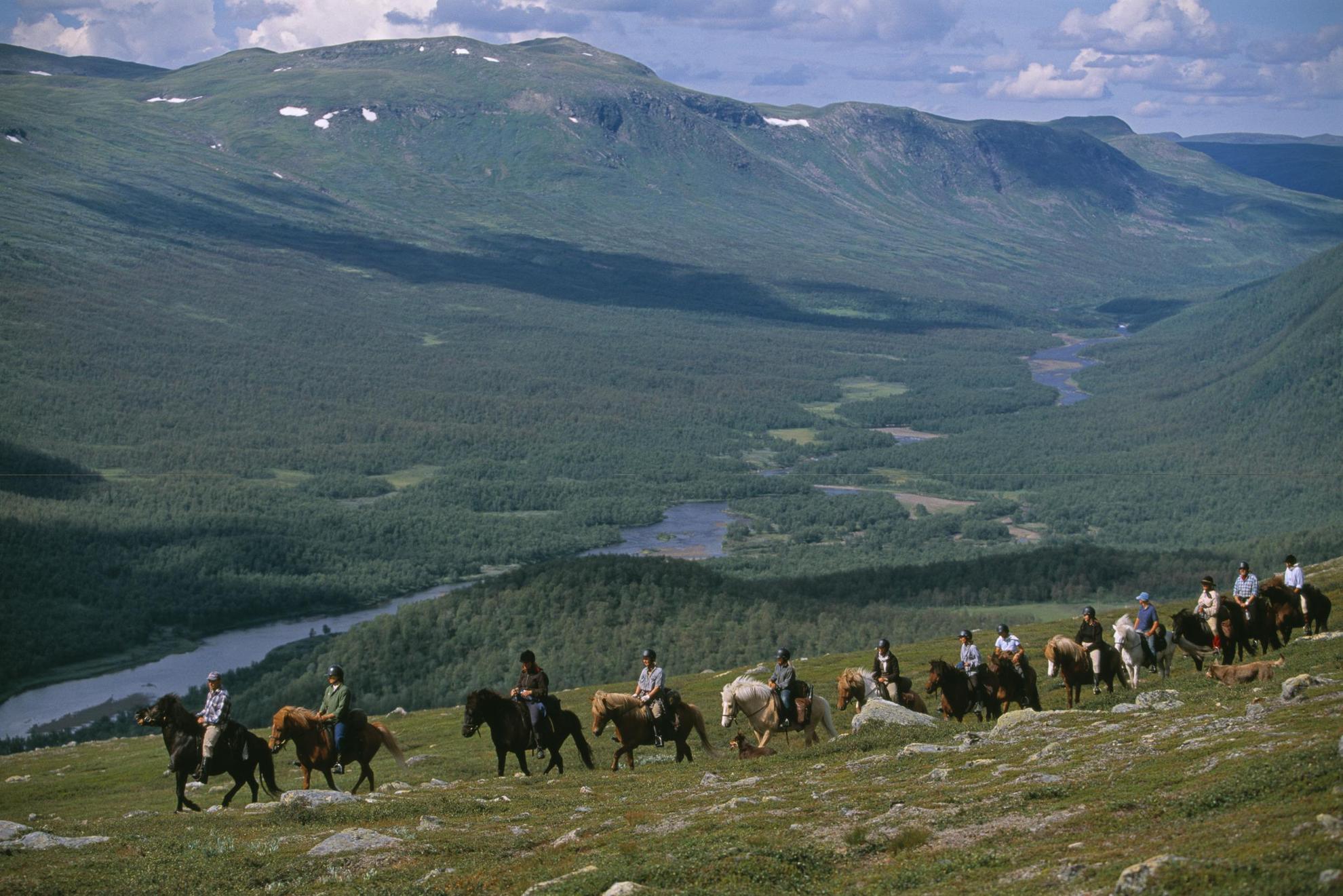 Horse riding tours