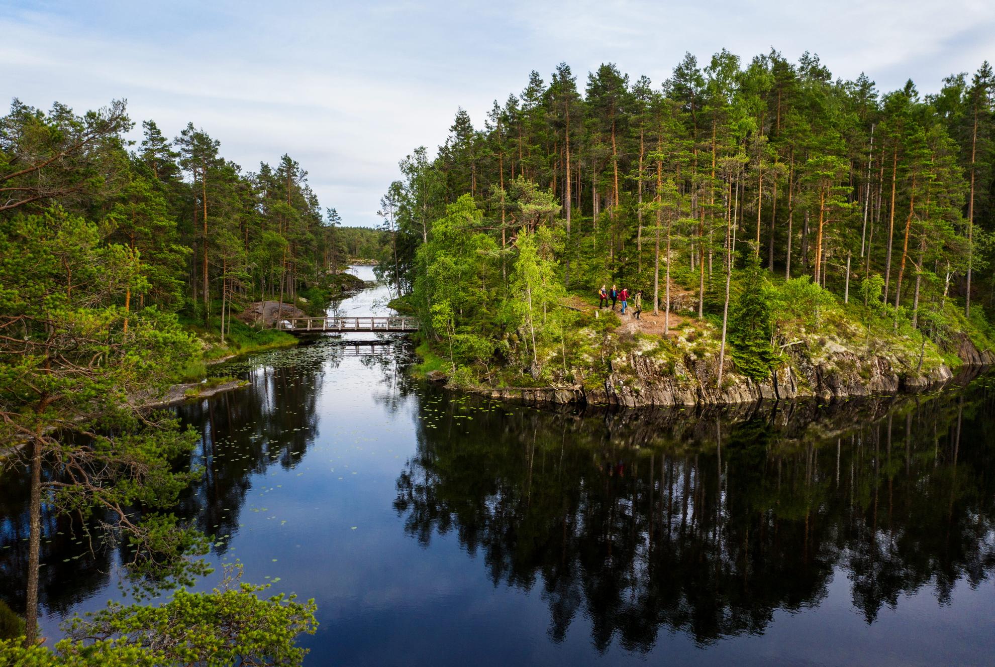 Vier mensen wandelen in de zomer in een bos naast een meer.