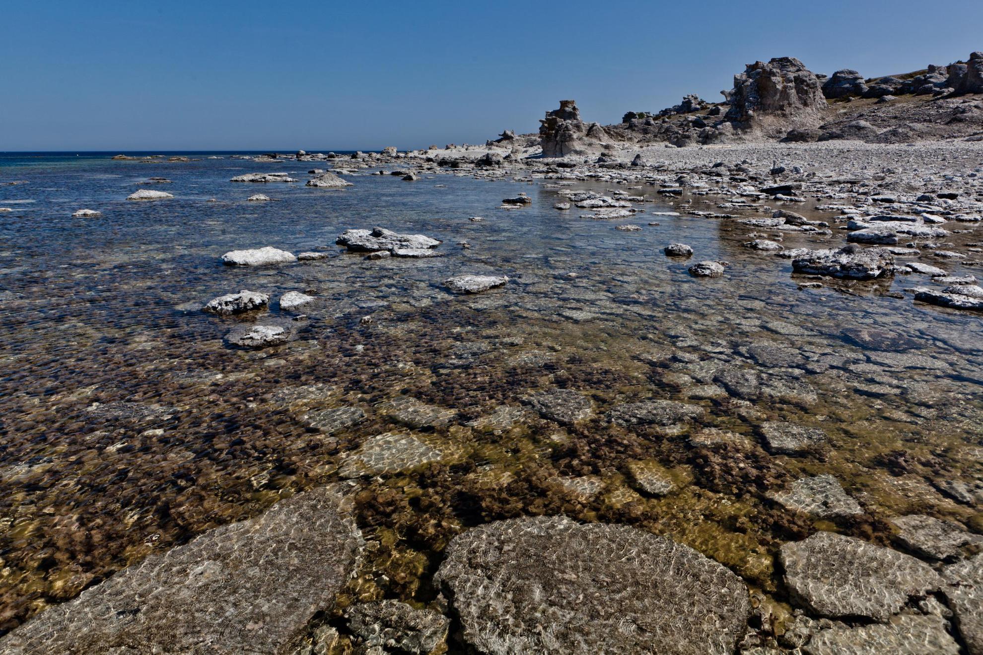 Een rotsachtig strand en kustlijn van Fårö.