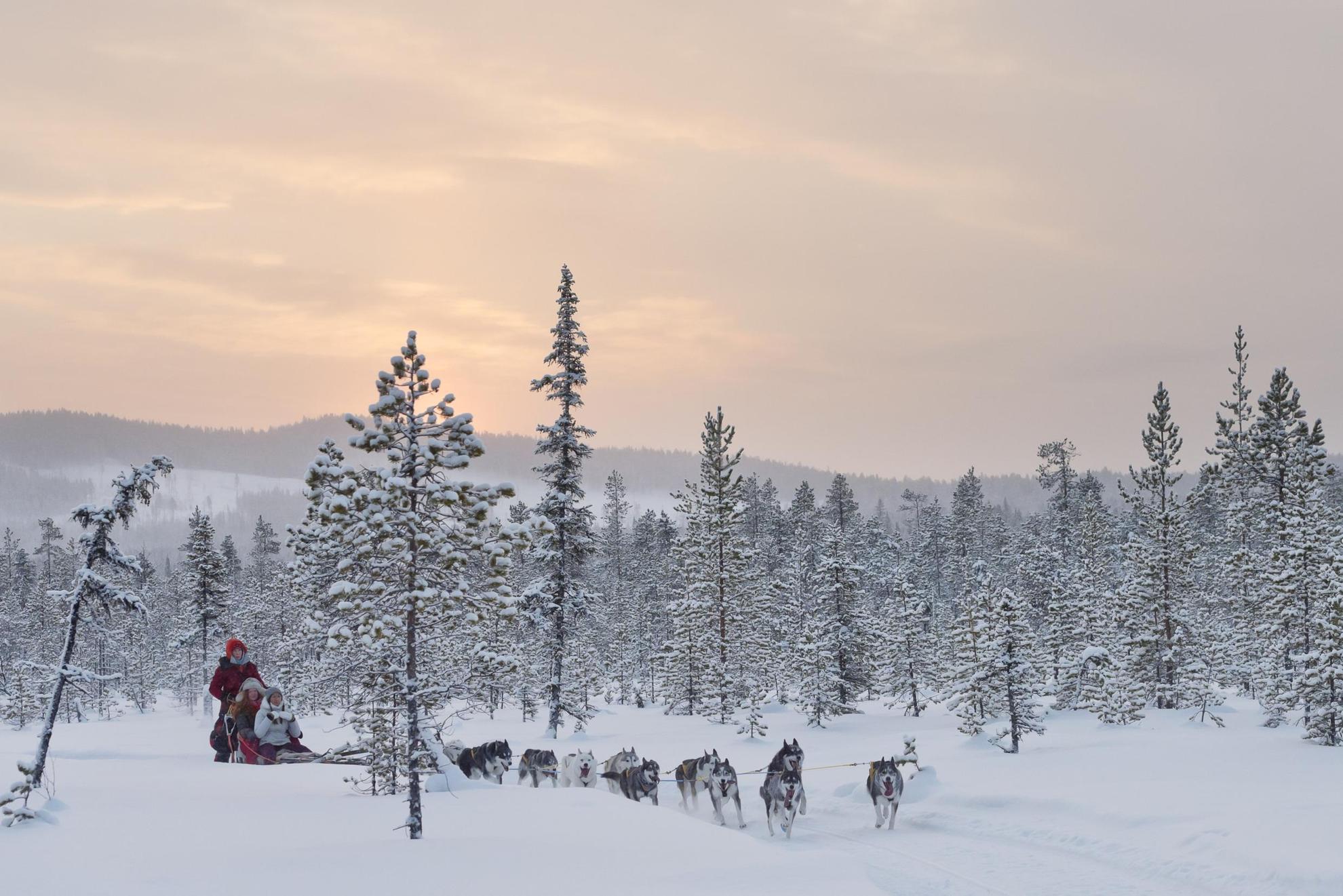 Sneeuwsafari in Noord-Zweden