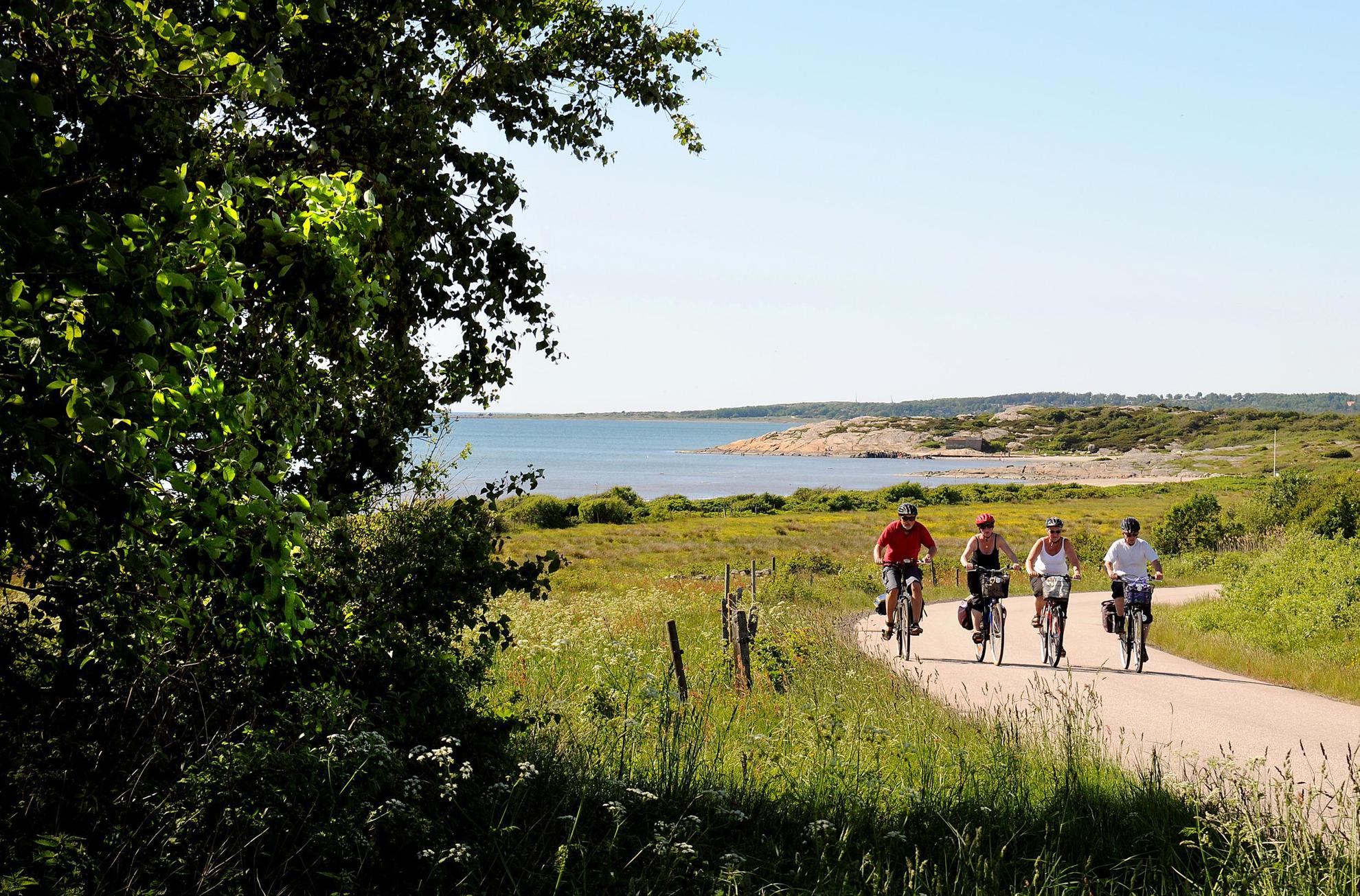 Vier personen fietsen met achter hen zicht op zee.