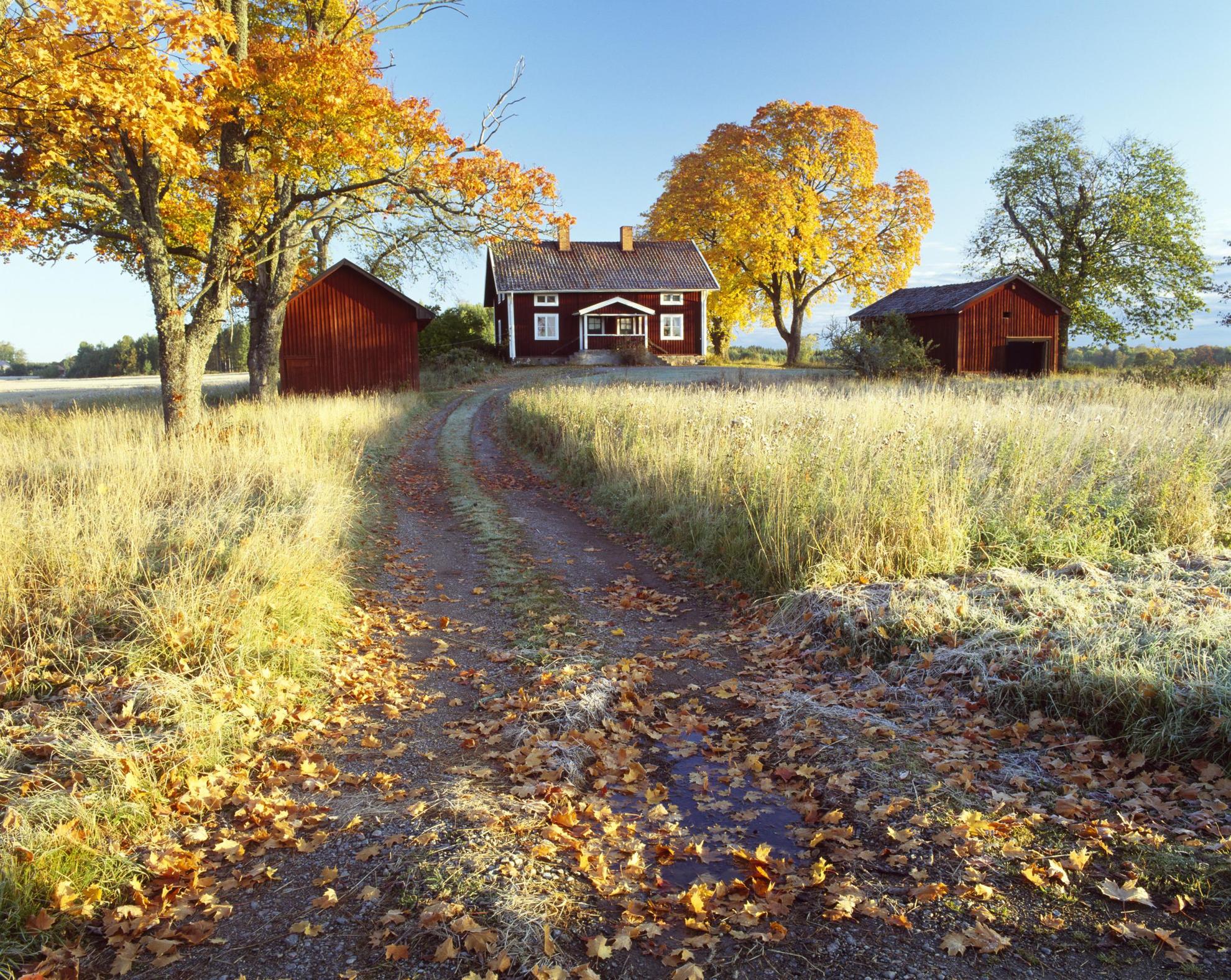 Een rode hut met witte garnituren is omgeven door weilanden en enkele bomen. Het is herfst en de bladeren zijn geel en oranje geworden.