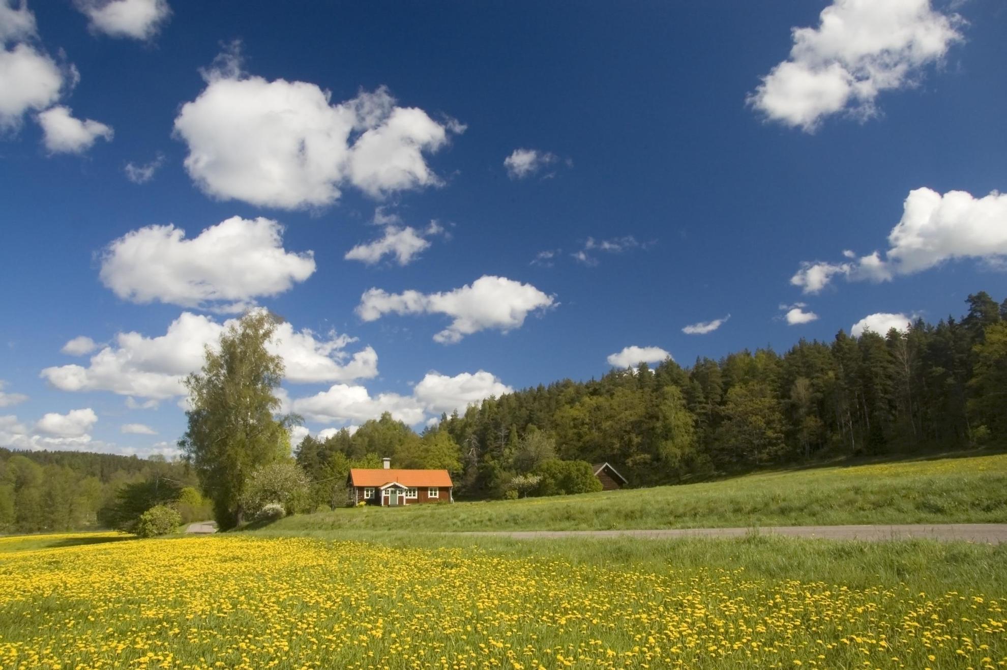 A traditional country home in Falu red colour sits on a field with forest all around.